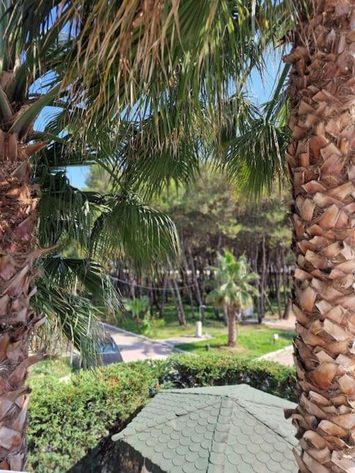Villa Pearl Adriatic Coast
