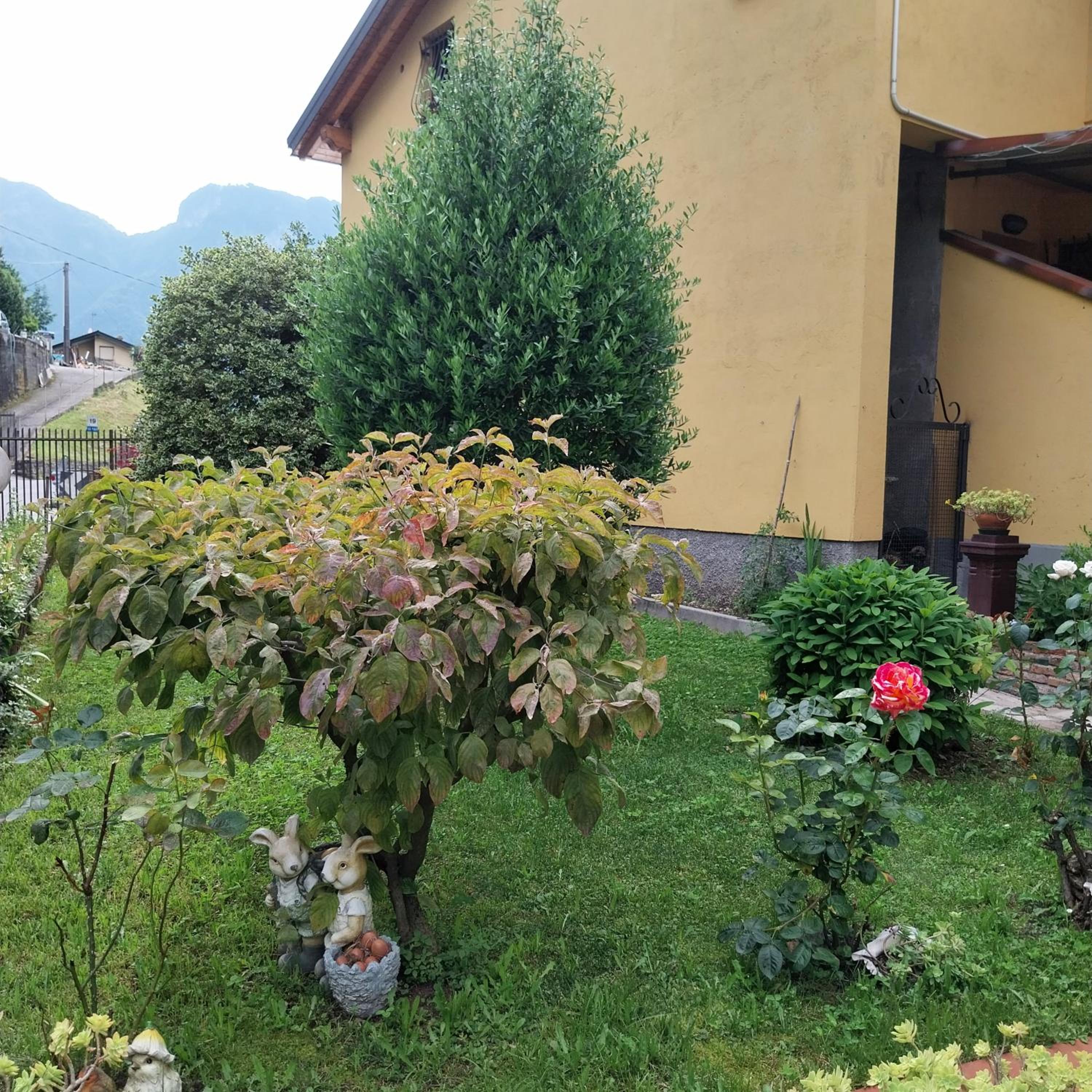 Casa Peppo