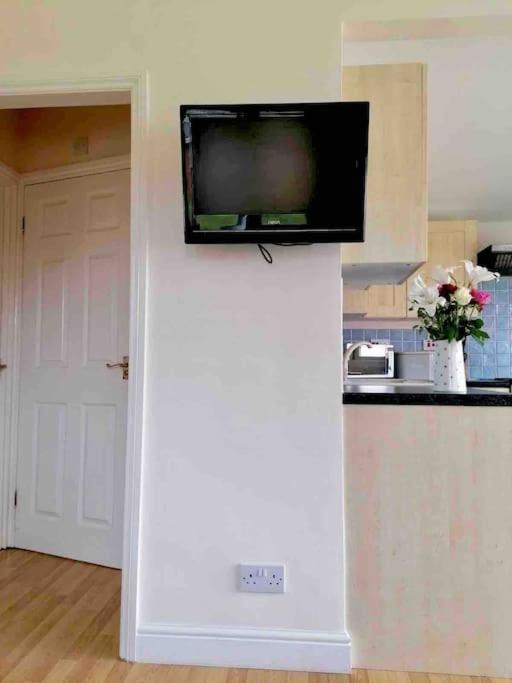 Spacious cabin, near Padstow and 7 Bays view 4