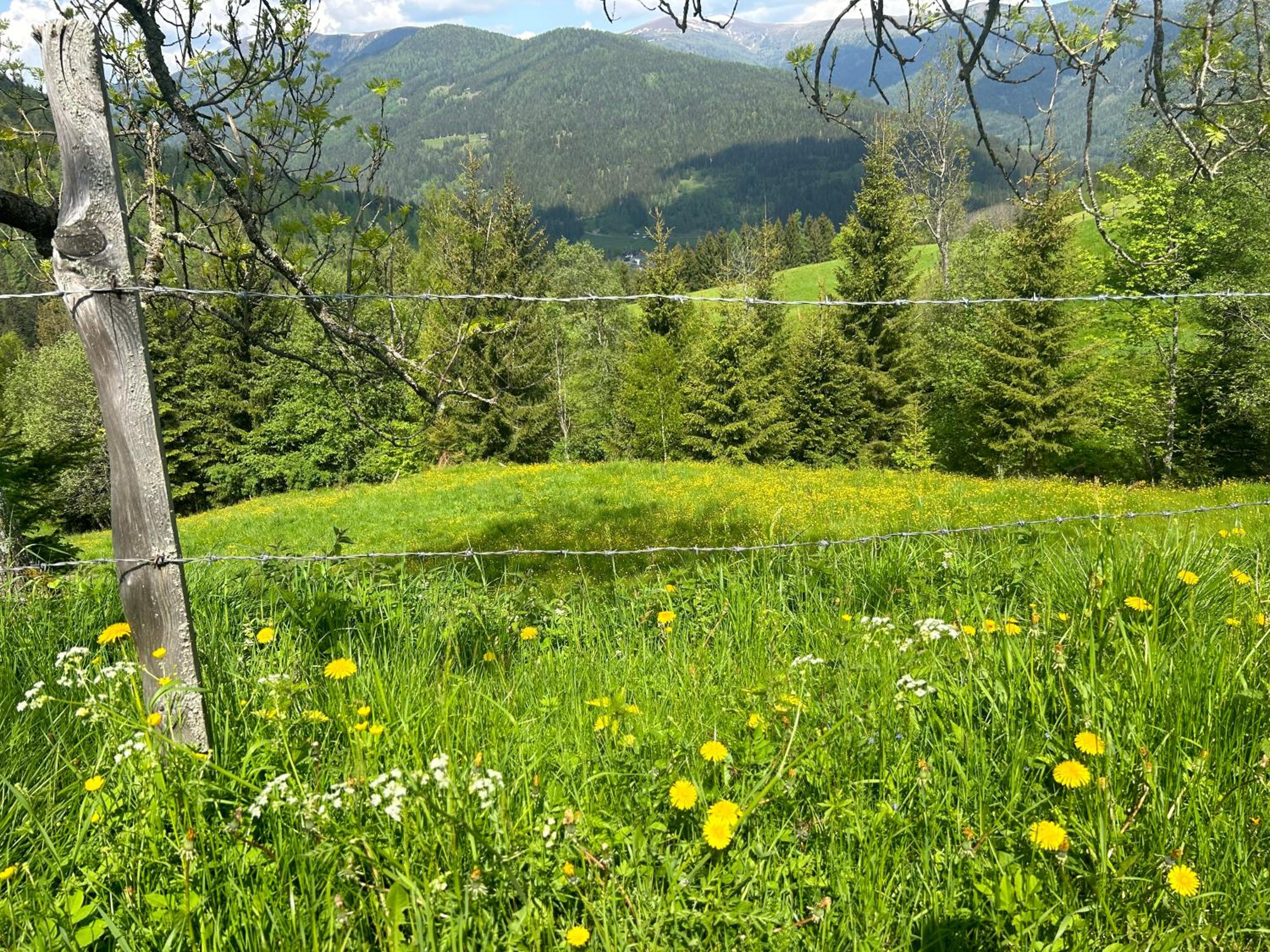 Preisöxlhütte