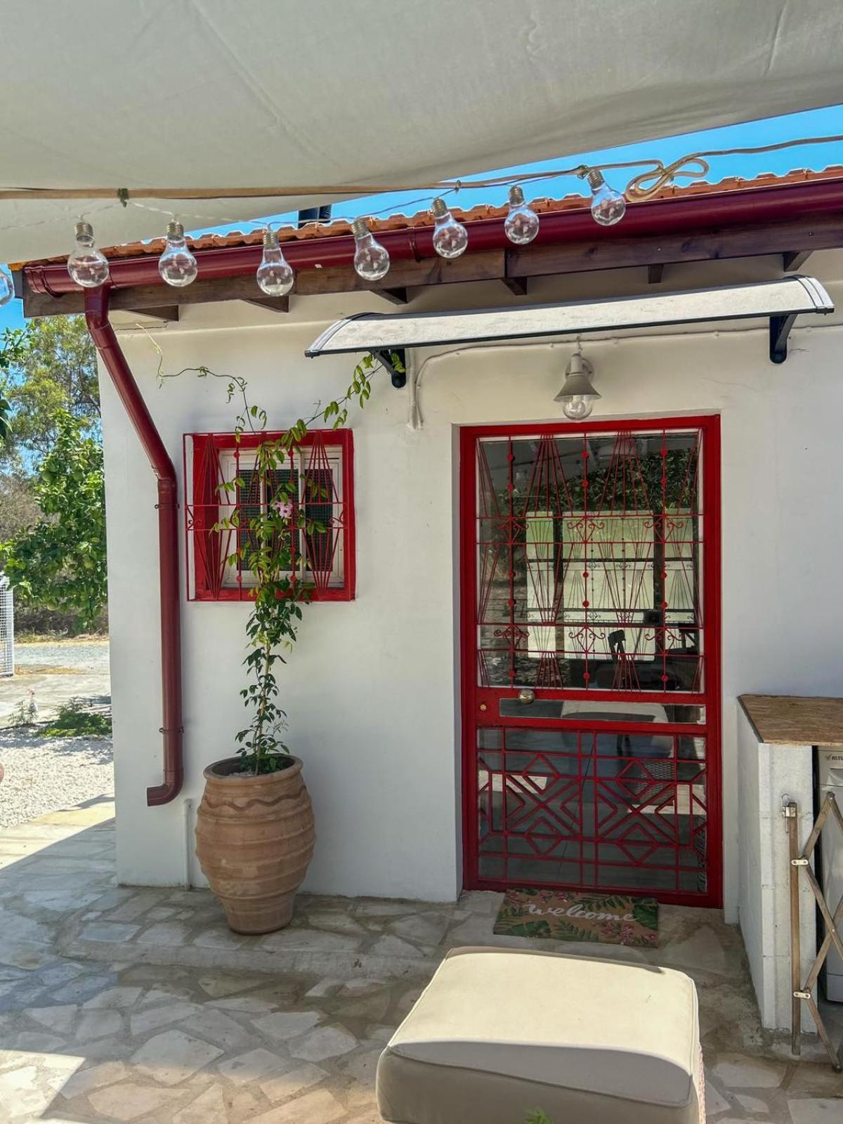 The OliveOrange Grove House!