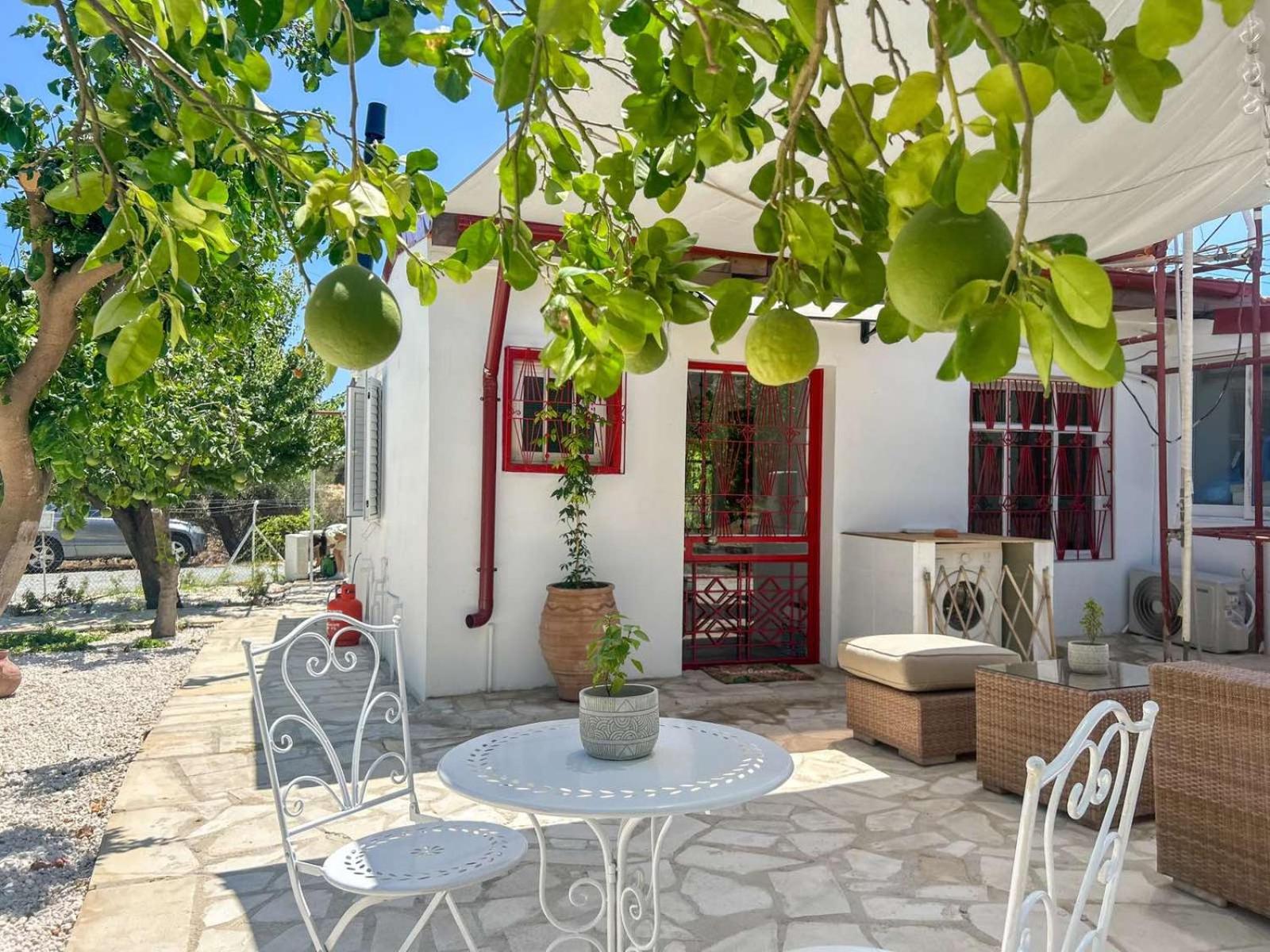 The OliveOrange Grove House!