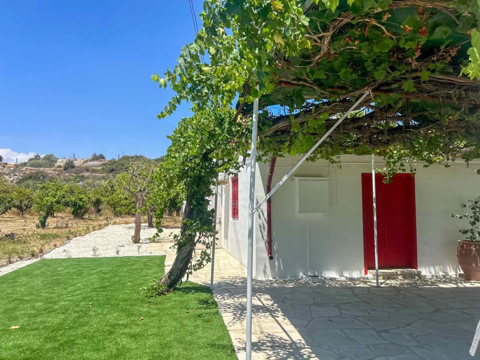 The OliveOrange Grove House!