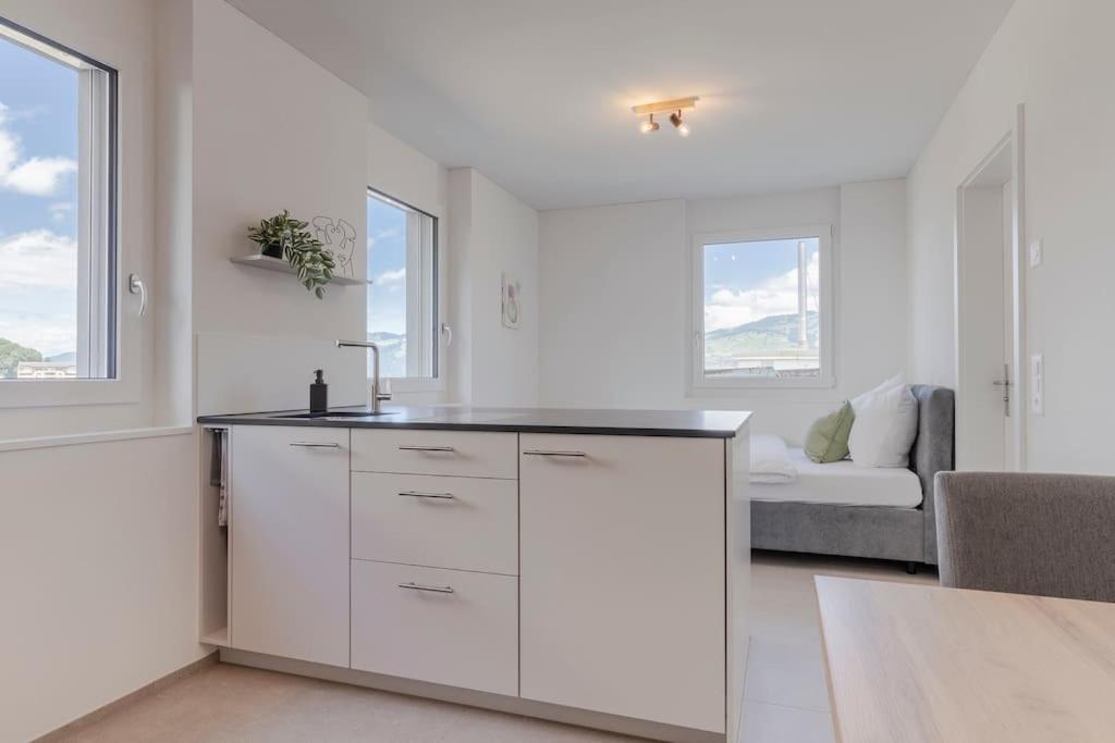 Rothorn Studio - Aare Jungfrau AG