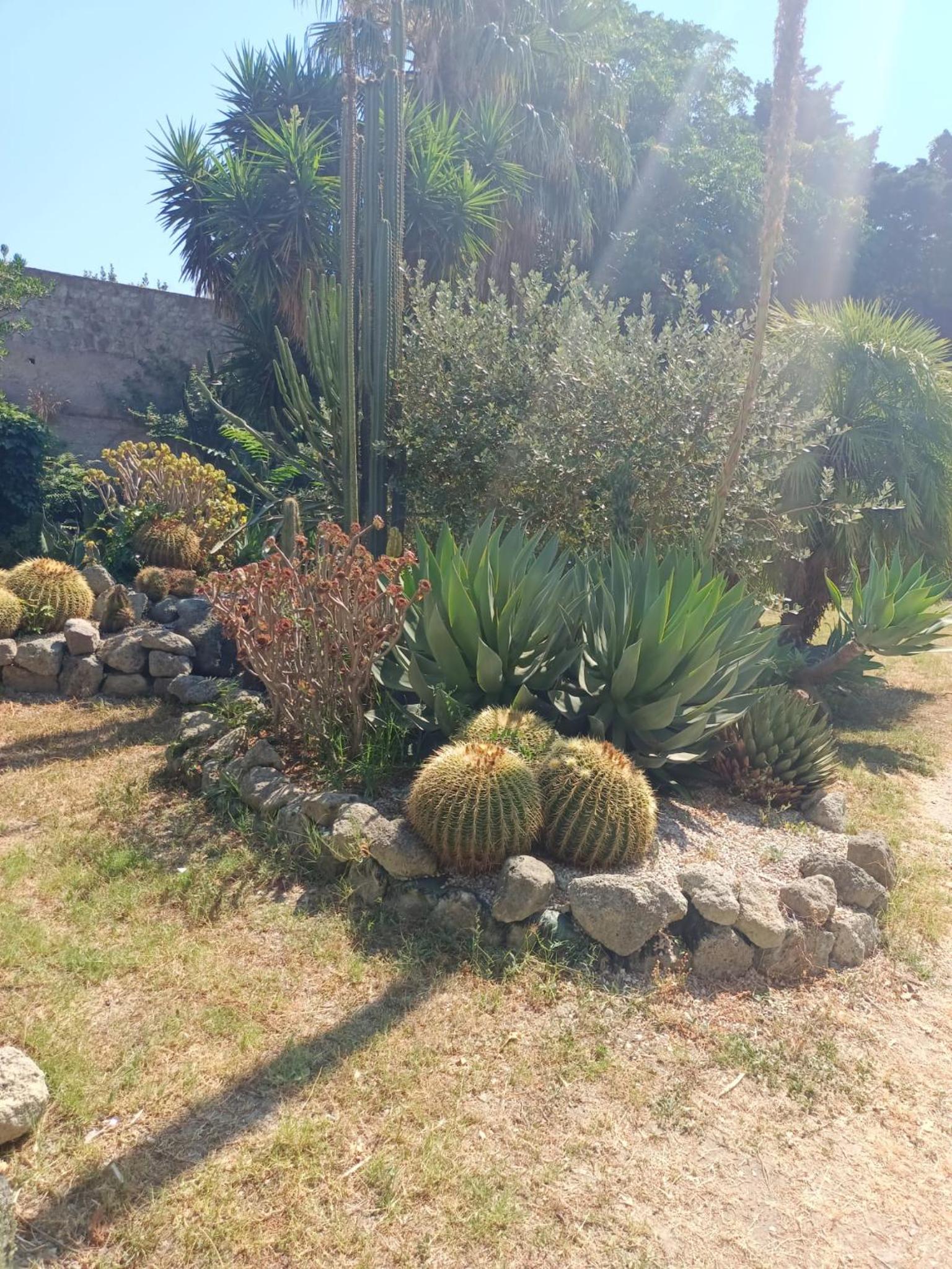 Photo 22