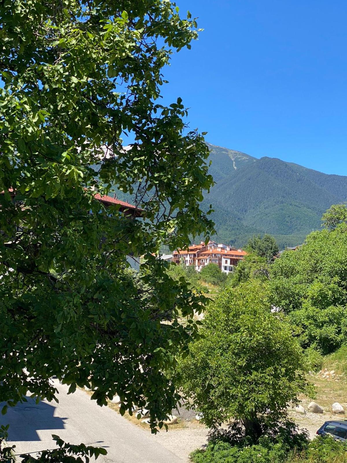 Hill Top Studio Apartments