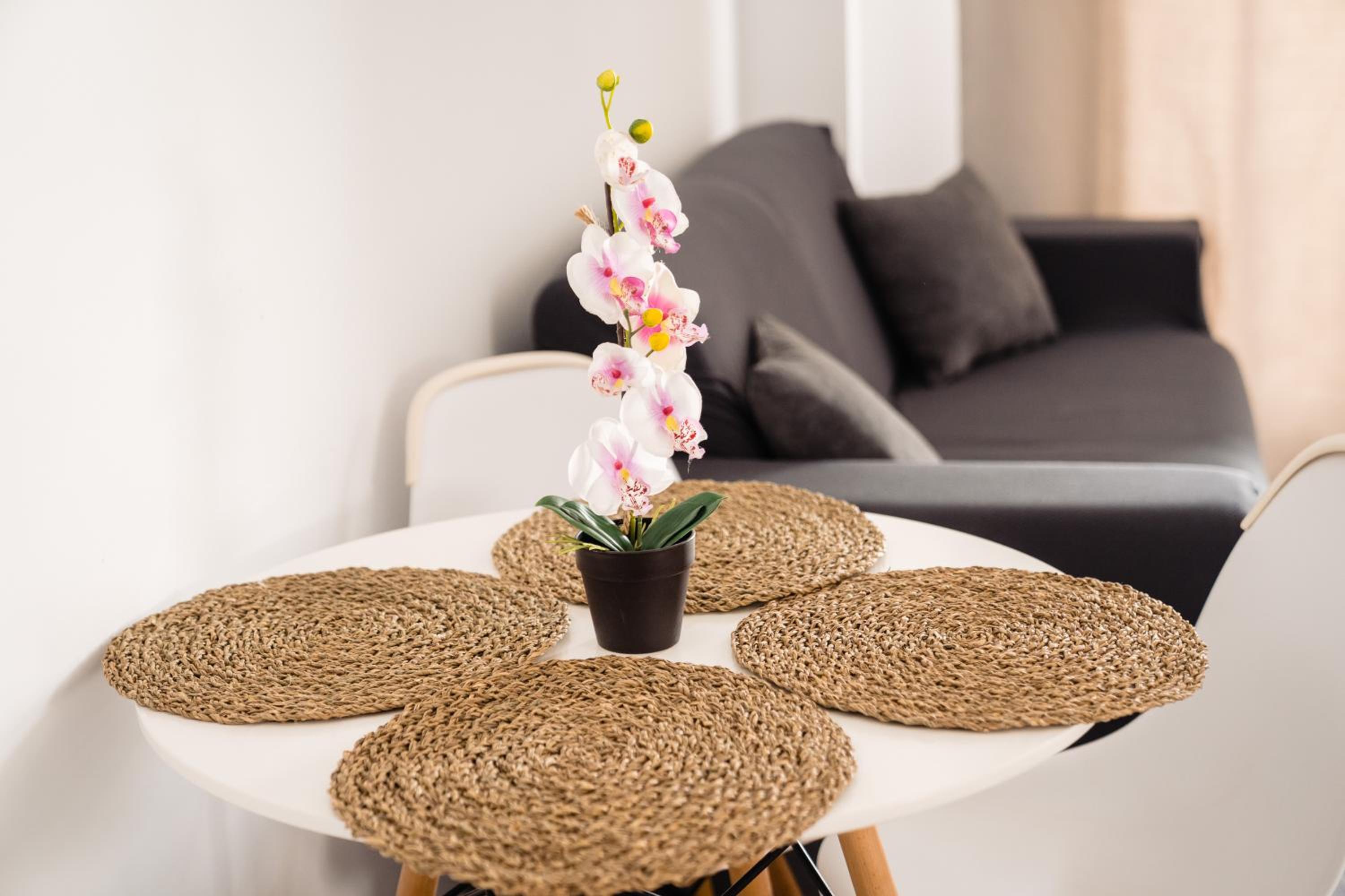 SEA-Cozy apartment Mamaia view 5