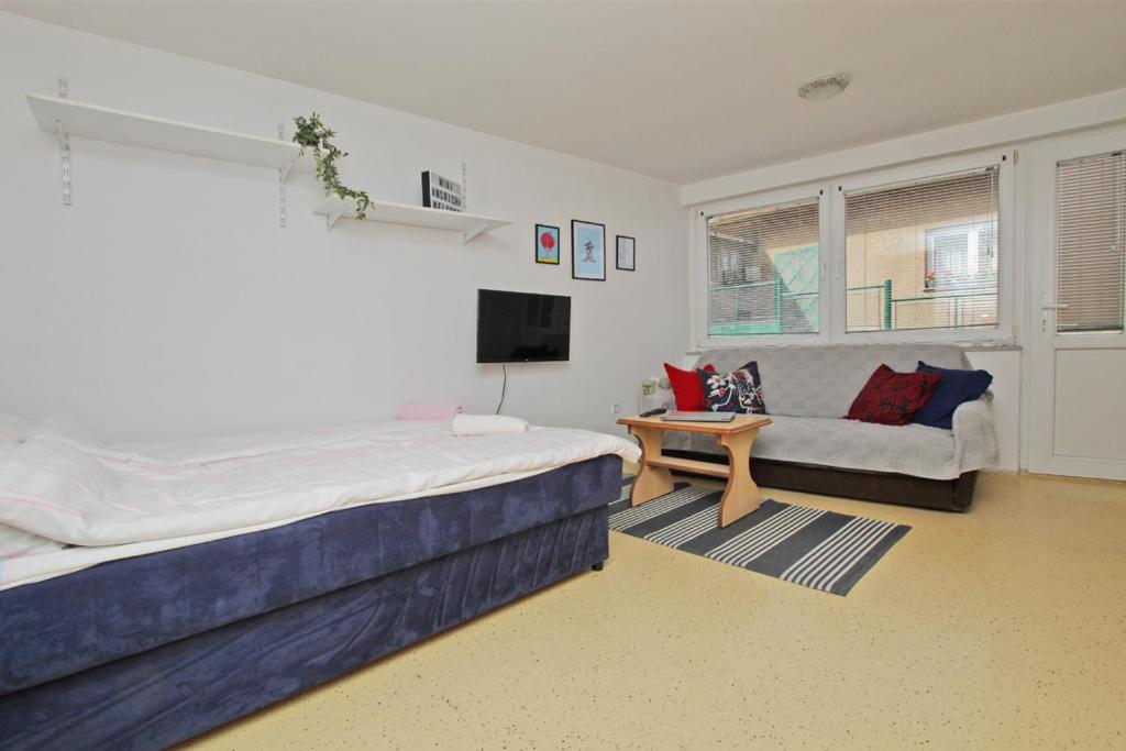 Pasha Apartment