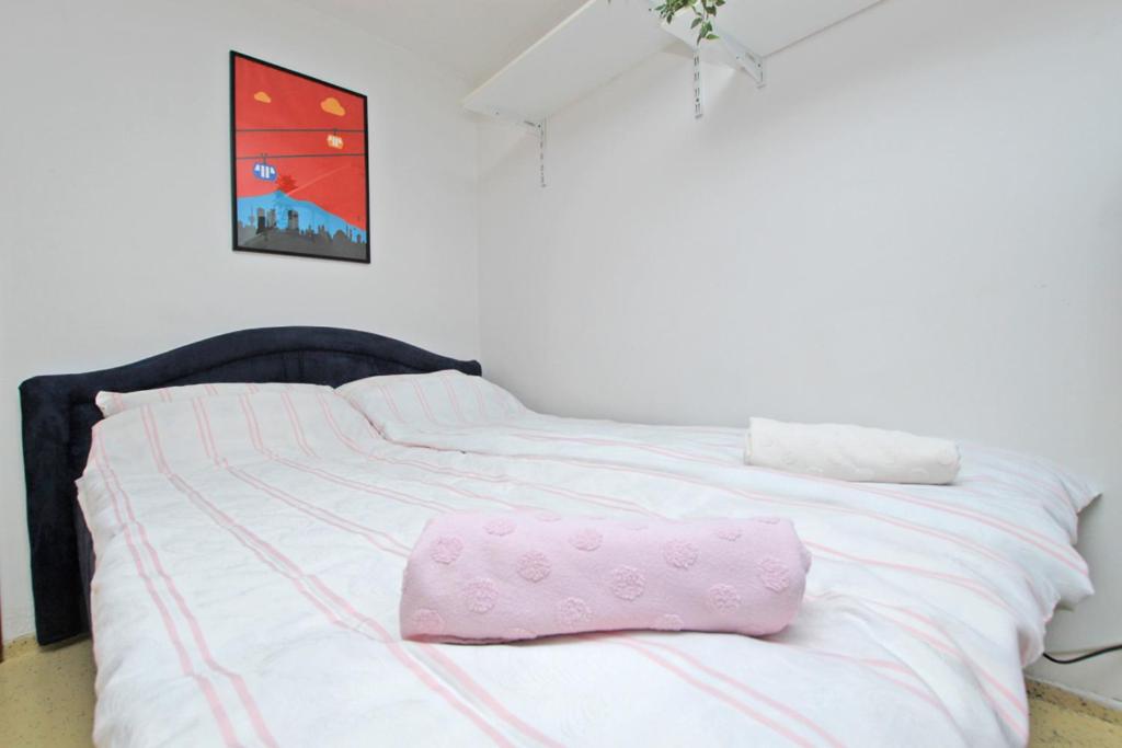 Pasha Apartment