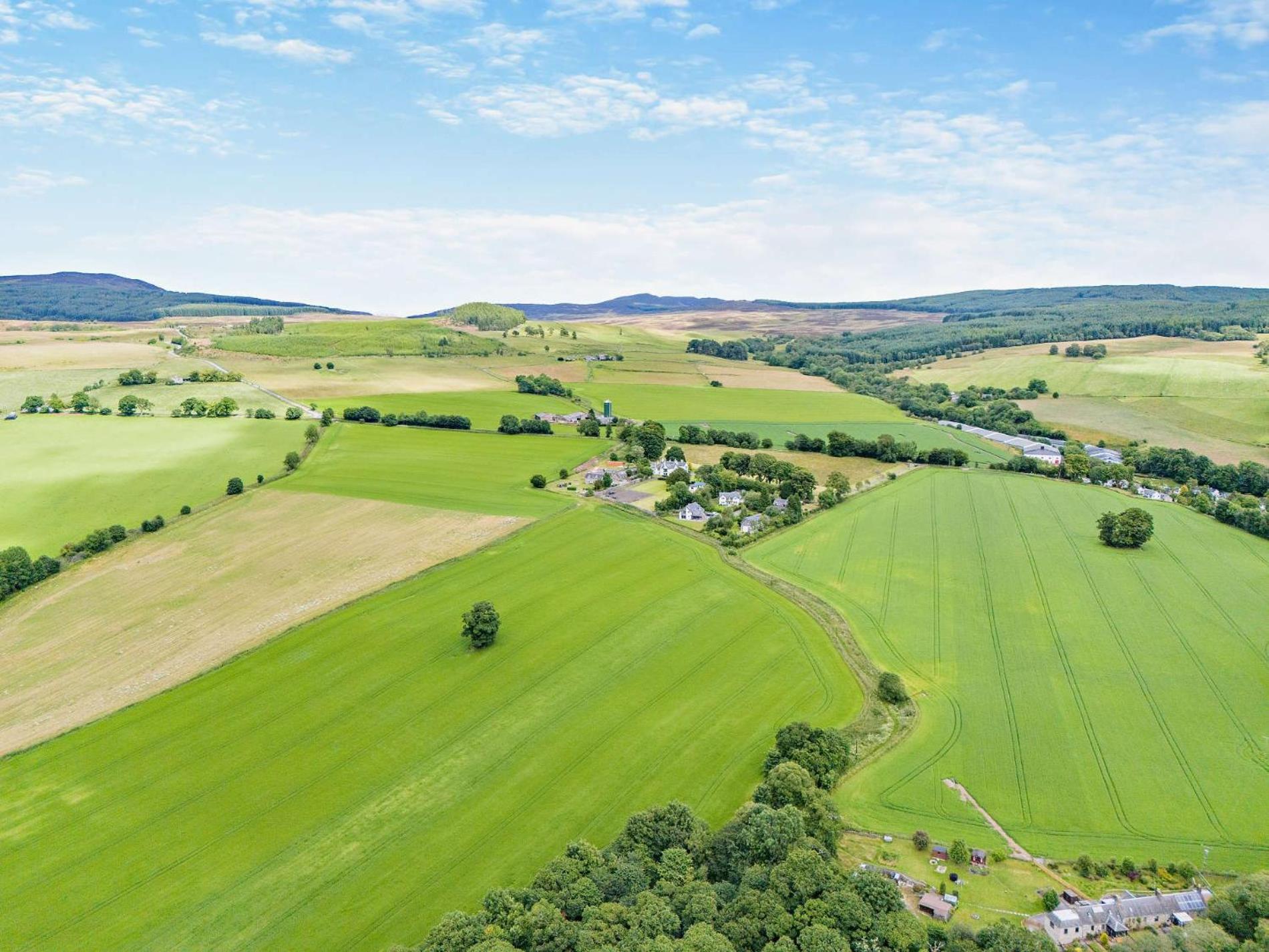 InEdra Estate Farmhouse by edradour1725