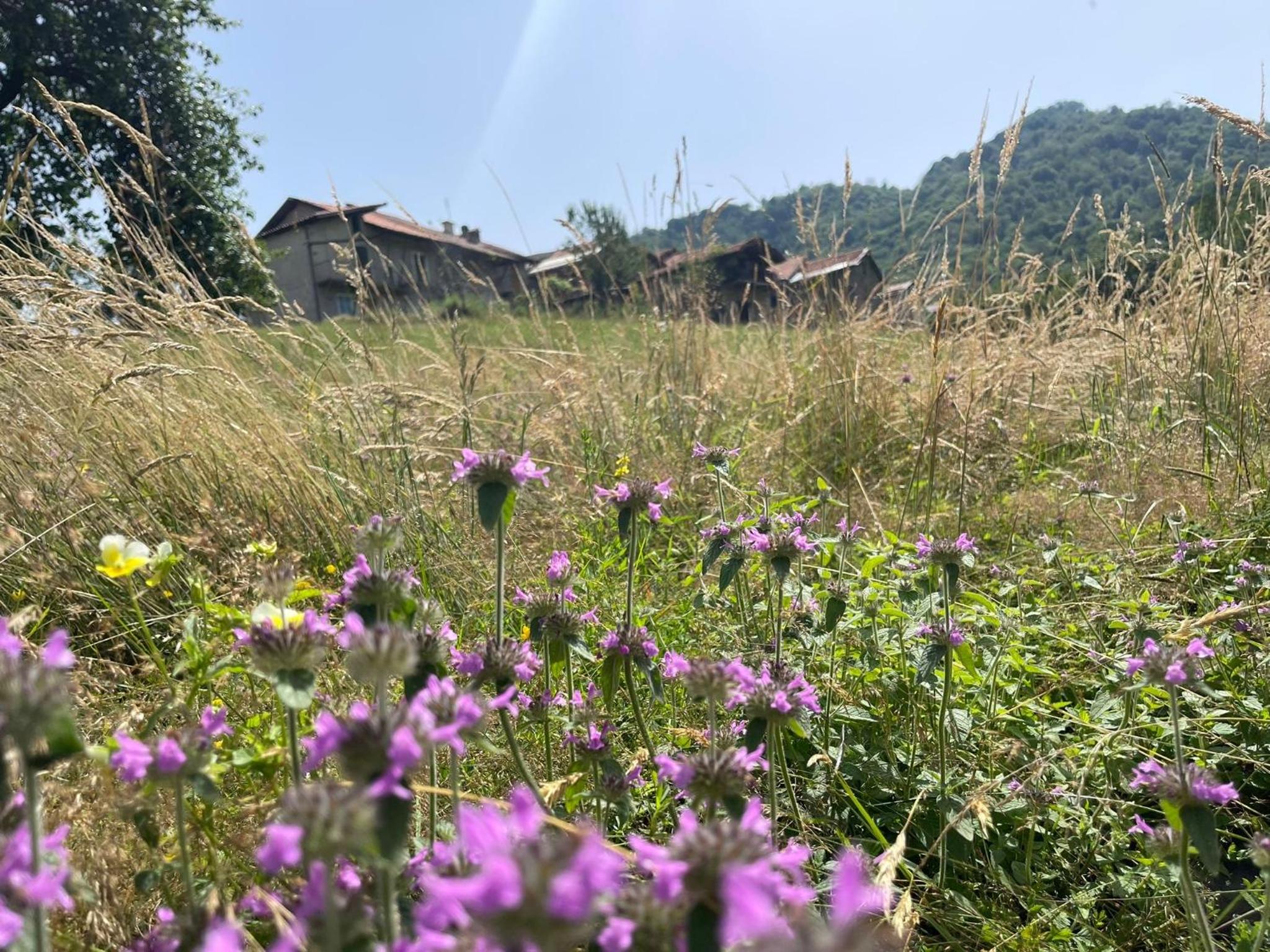 Il Rifugio di Erika