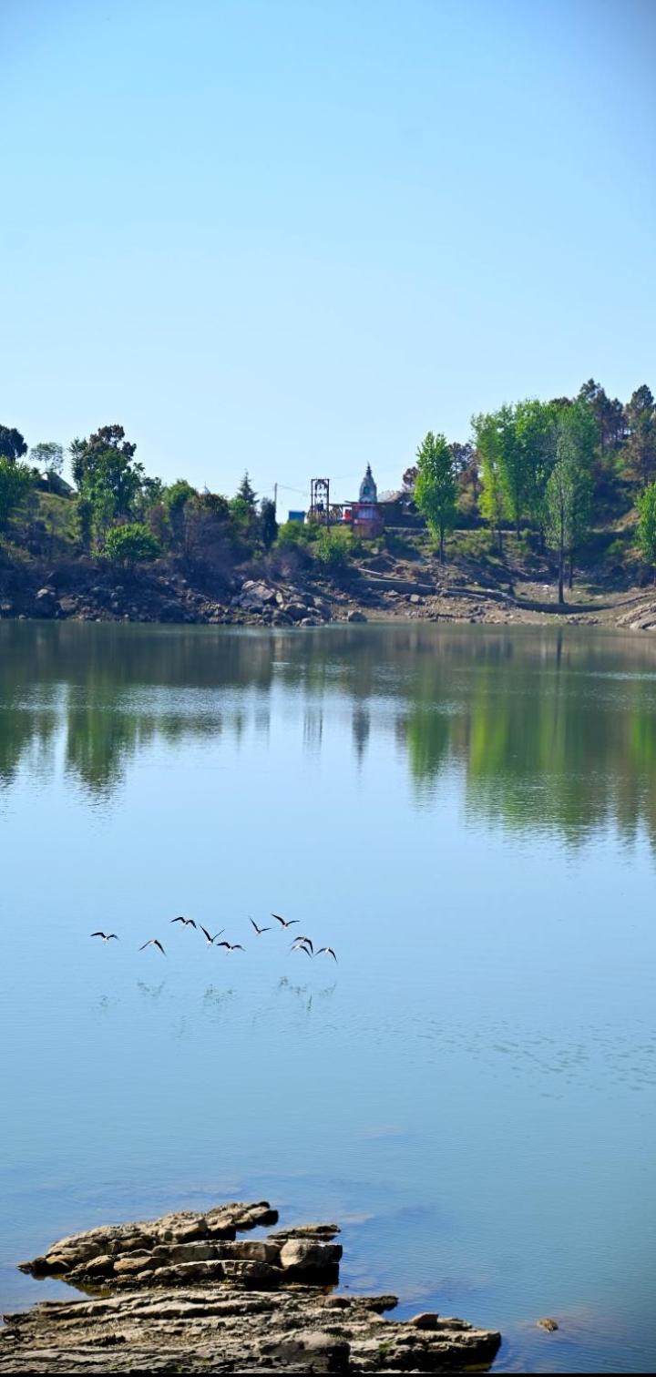 Hotel Pandav Meditation &Tourist Palace view 3