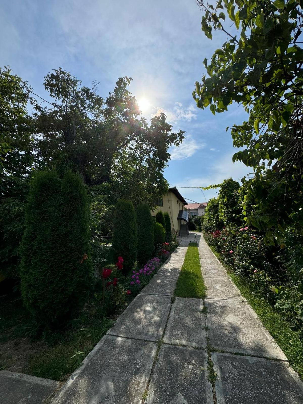 Pensiunea Cassandra view 3