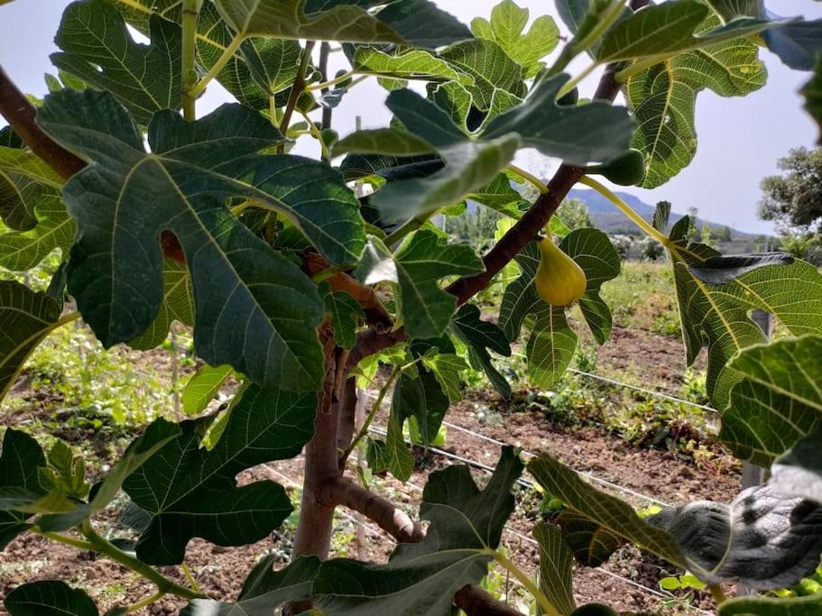 Appartamento Sulcis Sardegna