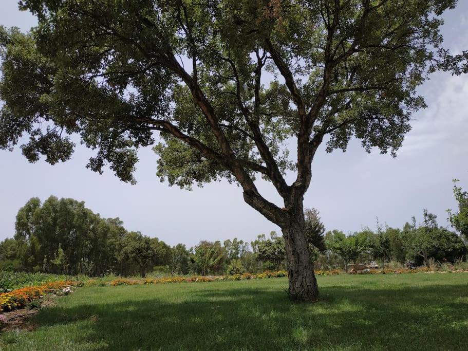 Appartamento Sulcis Sardegna