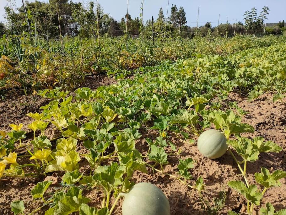Appartamento Sulcis Sardegna
