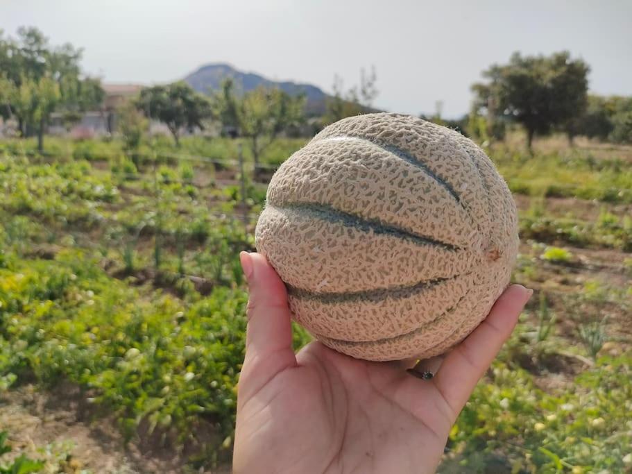 Appartamento Sulcis Sardegna