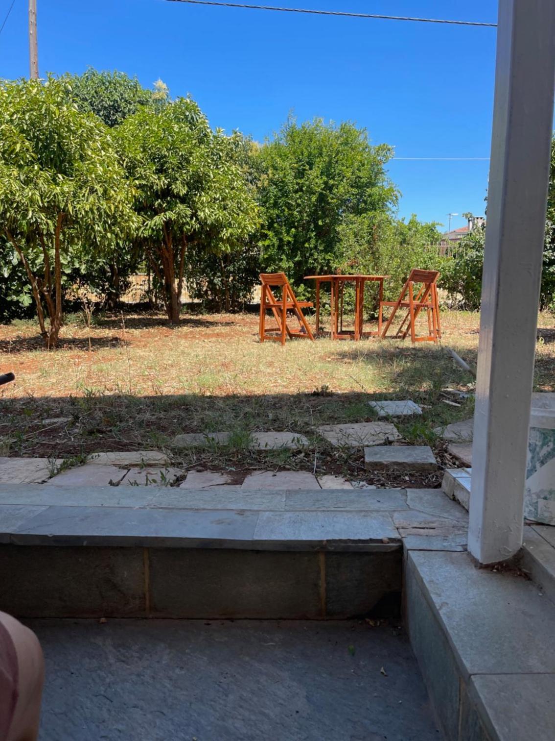 Cosy spot near the beach only 45 min from Athens view 4