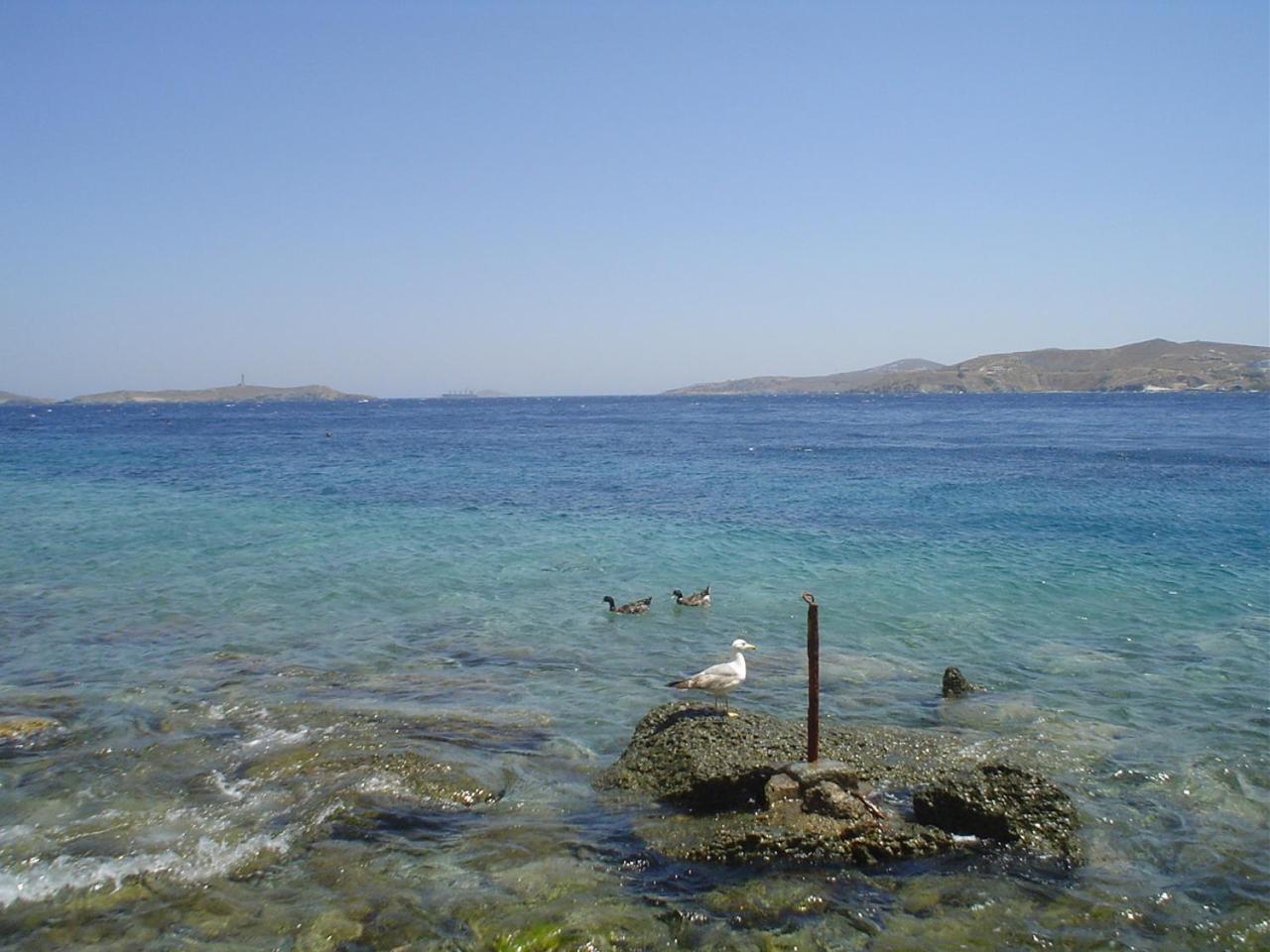 Villetta IRENULLA