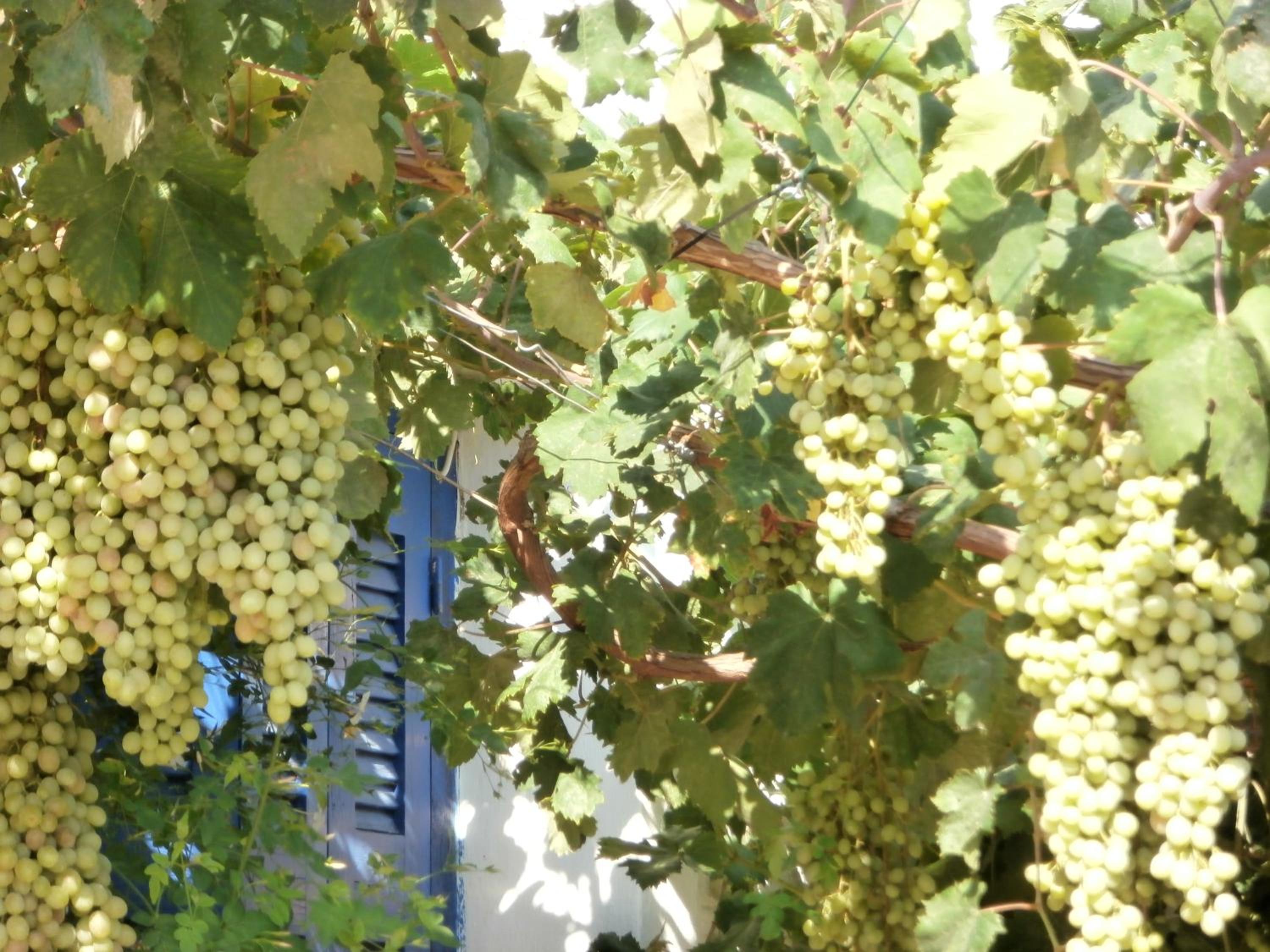 Villetta IRENULLA