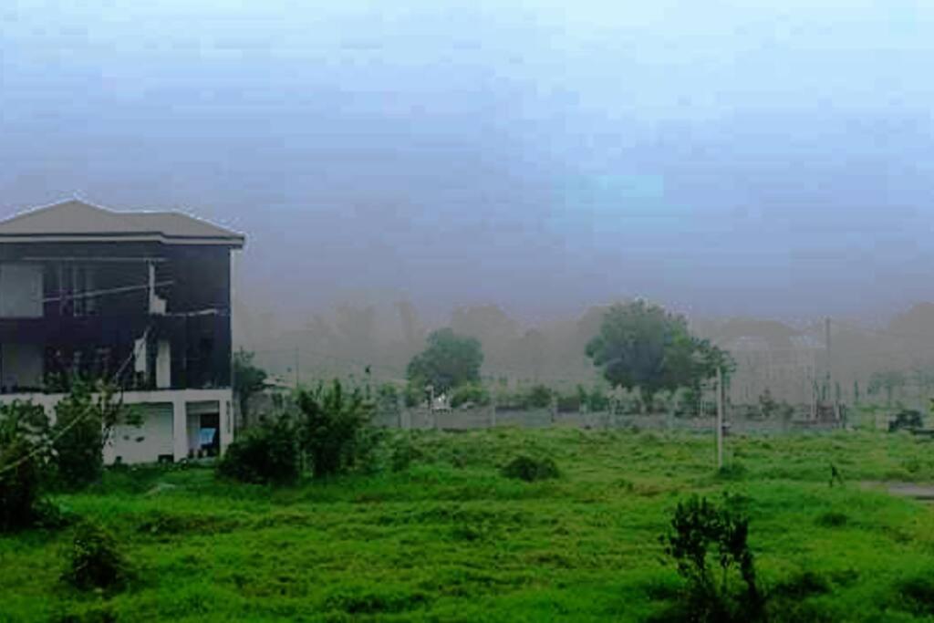 Photo 46