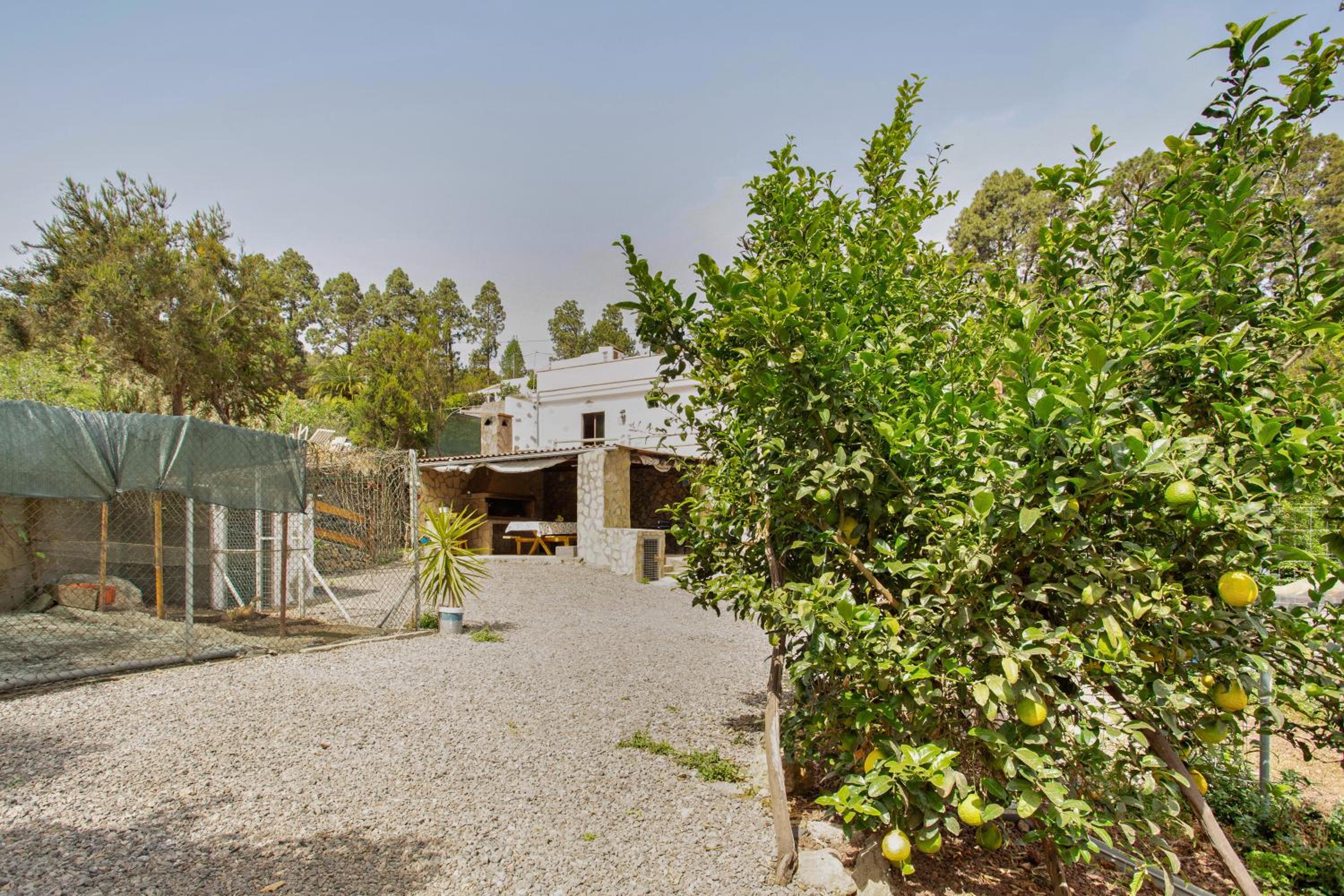 Finca aurora Ecorural