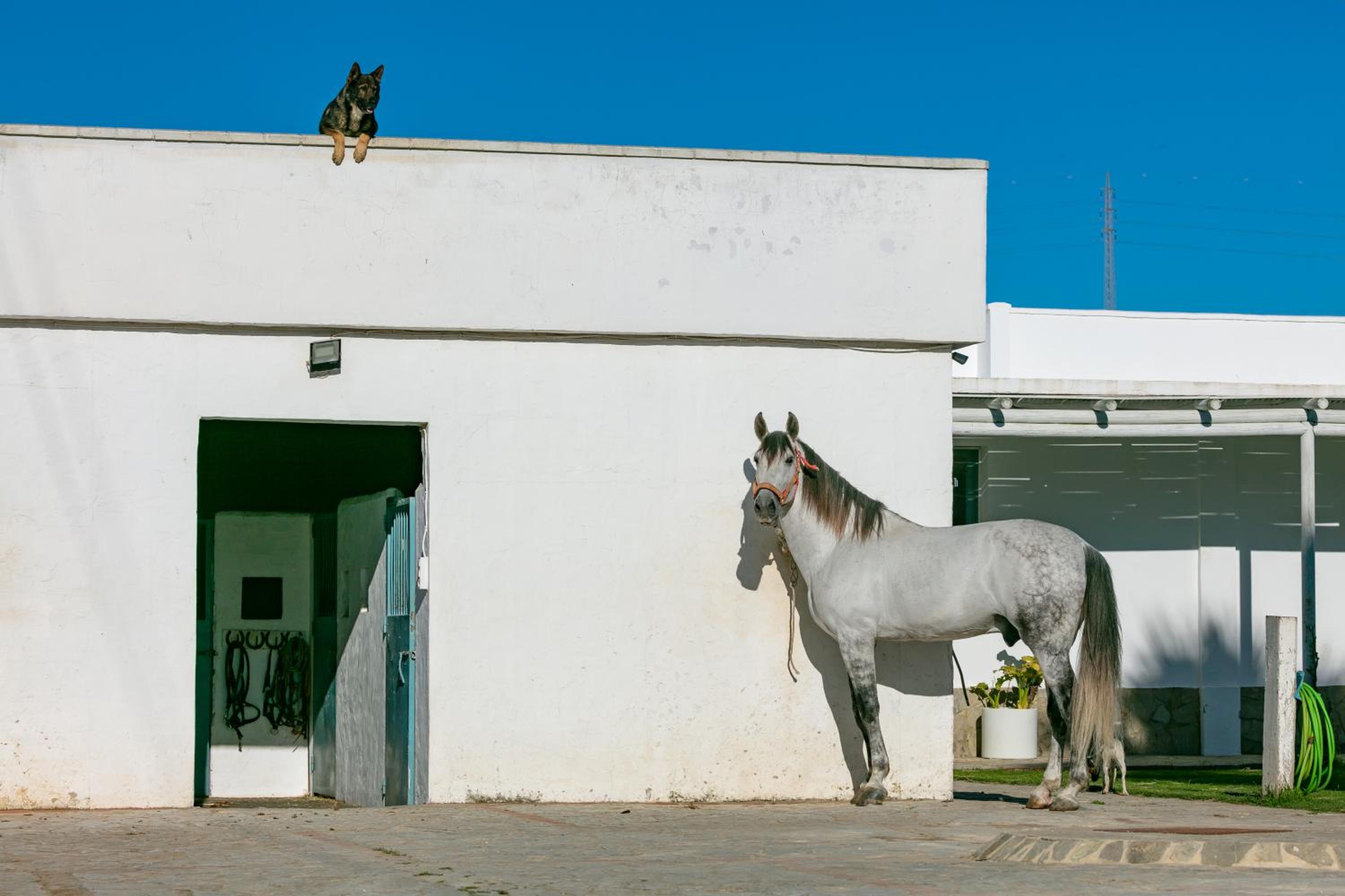 Casa rural terraza privada II