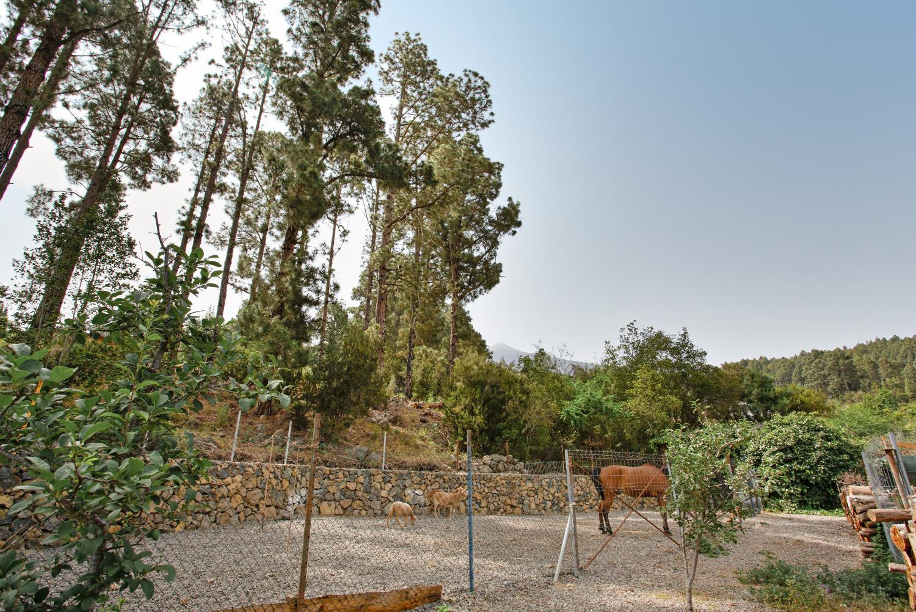 Finca aurora Ecorural