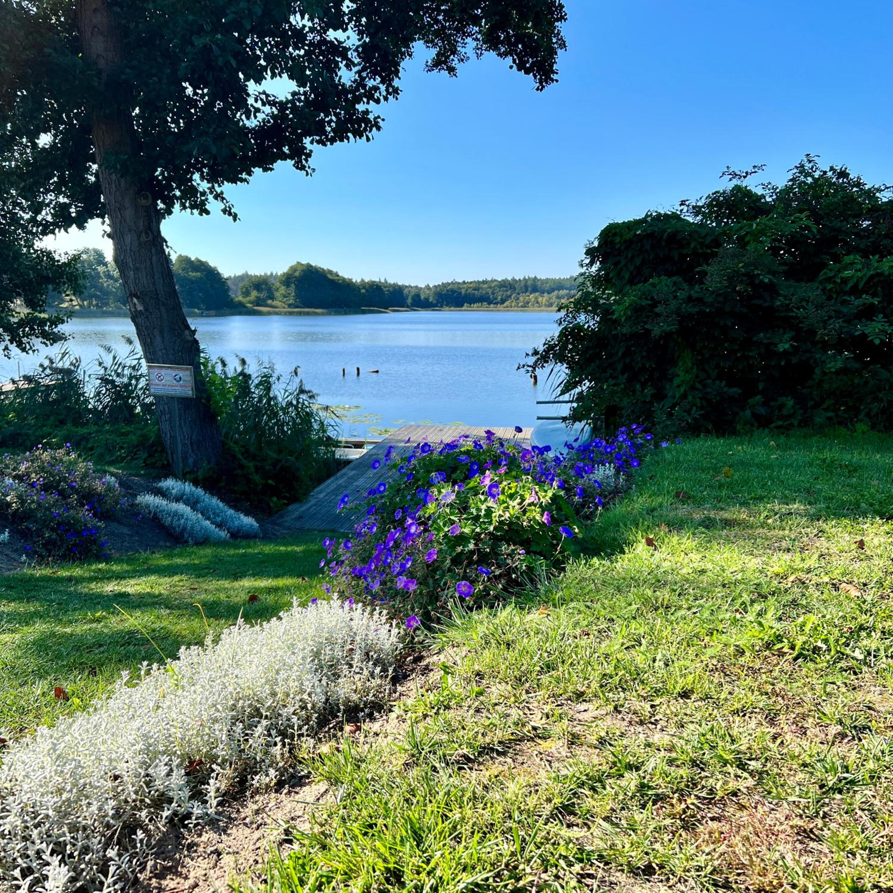 Modernes Ferienhaus mit Kamin und Sauna am Altdorfer See, Hunde sind herzlich Willkommen