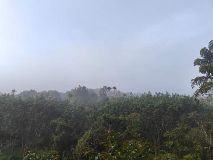 Bhuvanam homestay