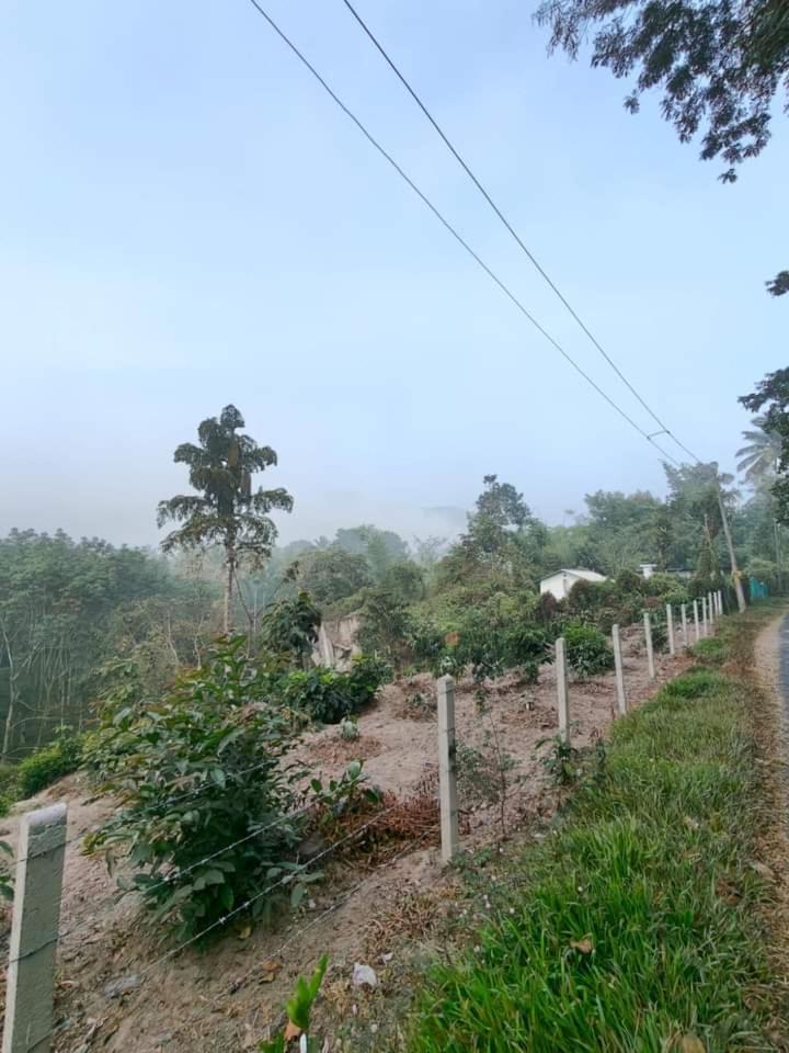 Bhuvanam homestay