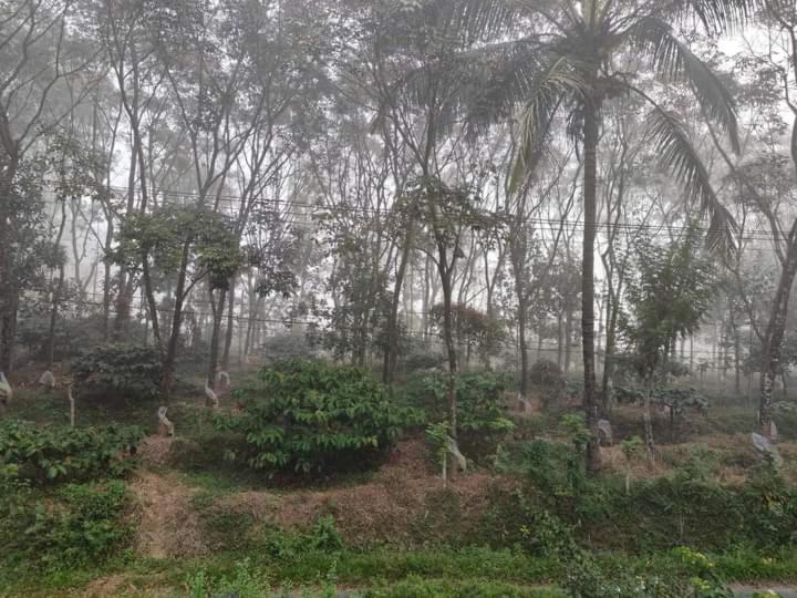 Bhuvanam homestay