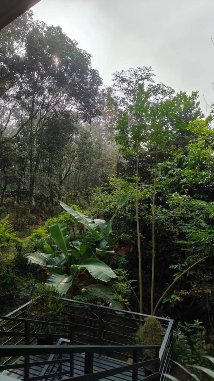 Bhuvanam homestay