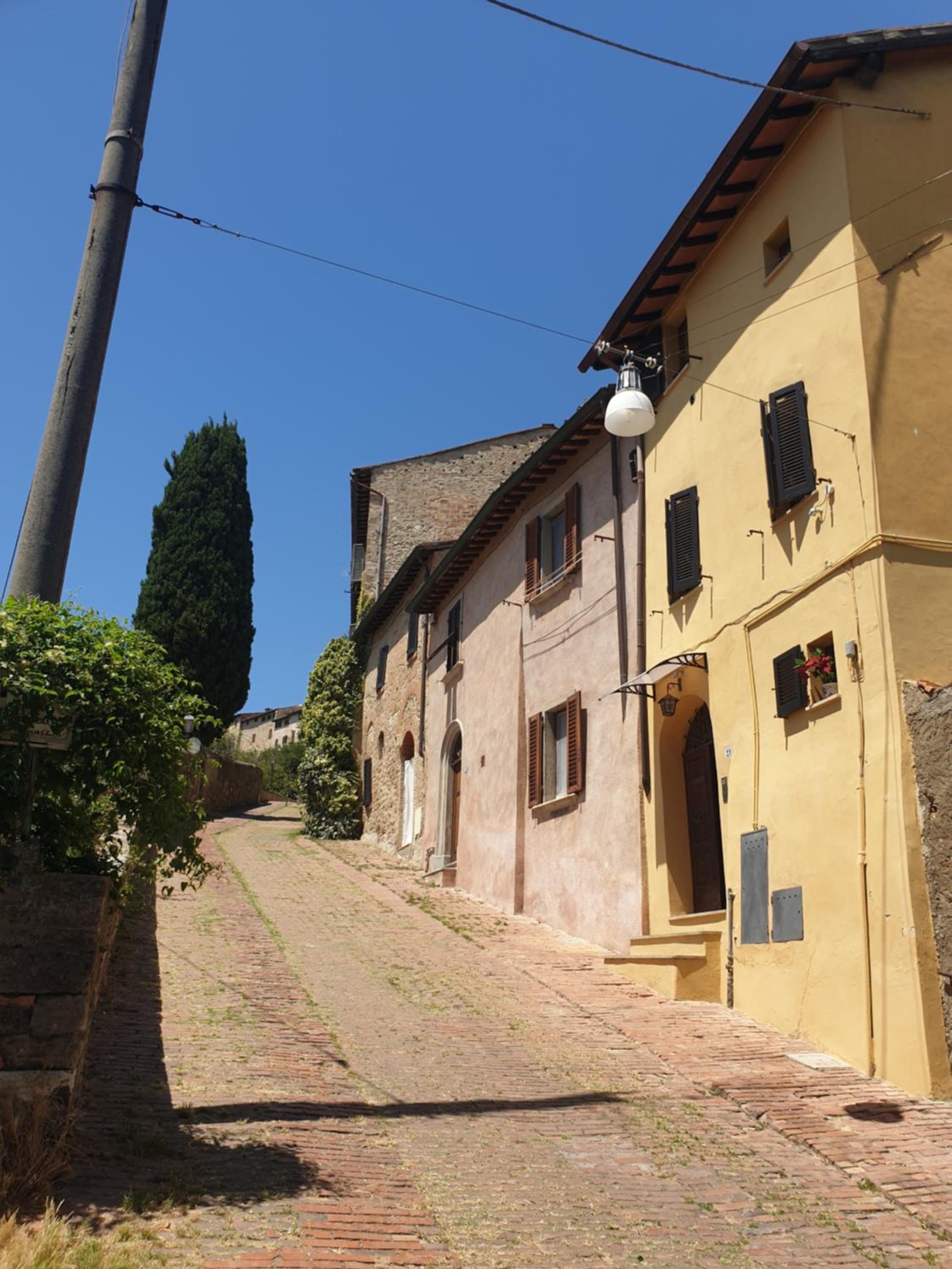 Sebastiano photo 2