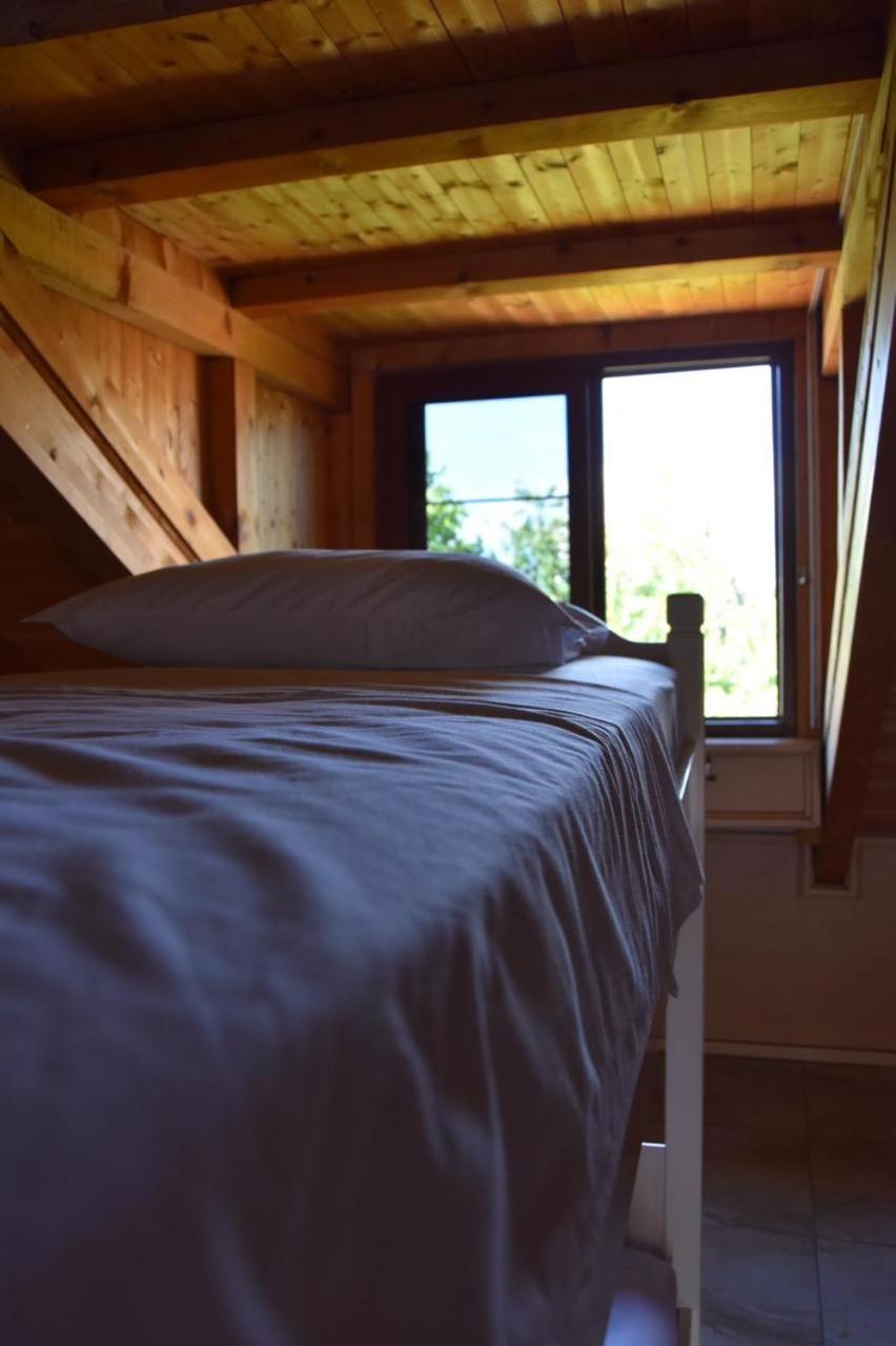 Symphony Hostel Shkoder
