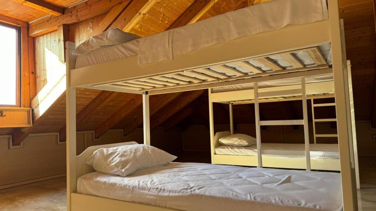 Symphony Hostel Shkoder