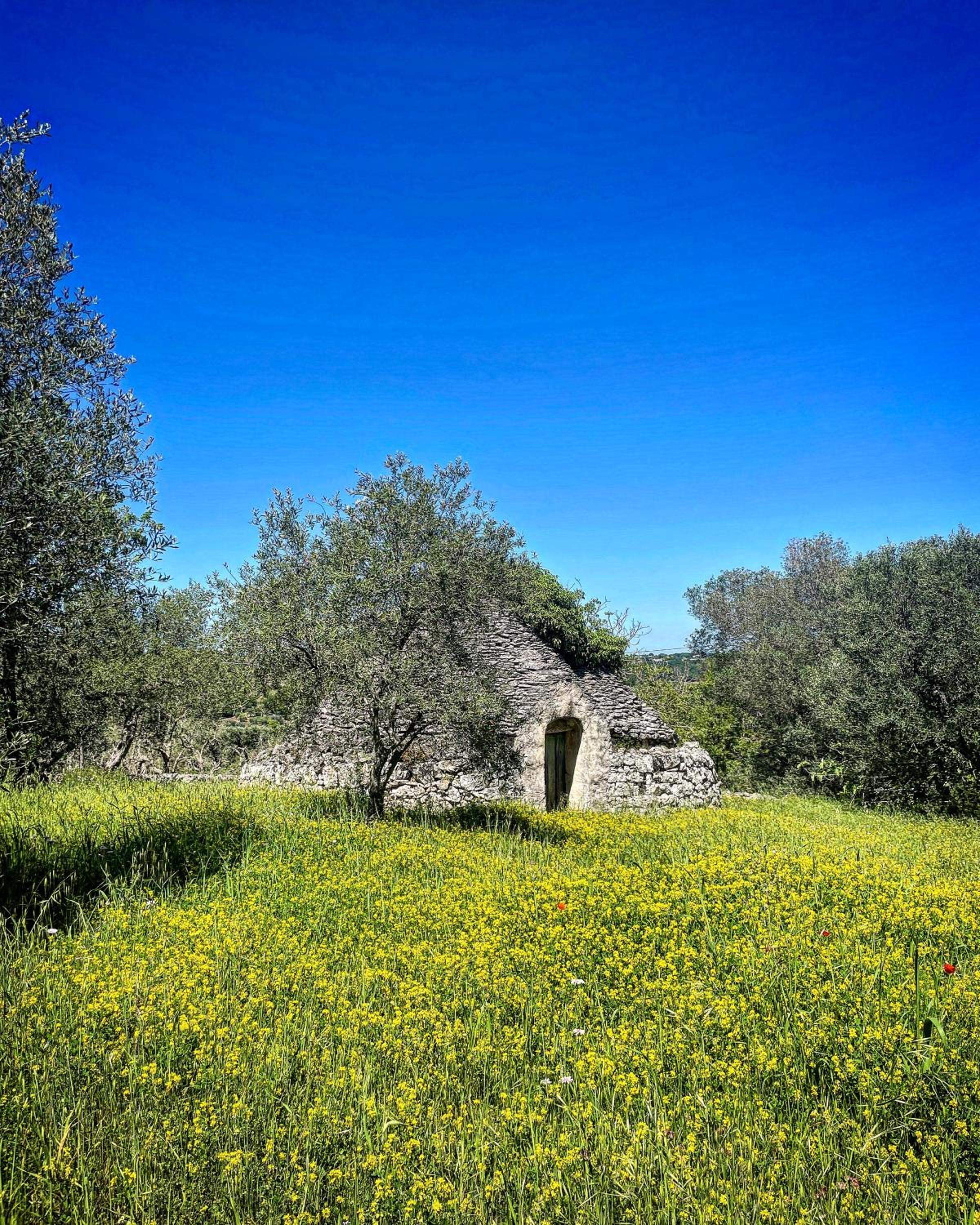 Casalento