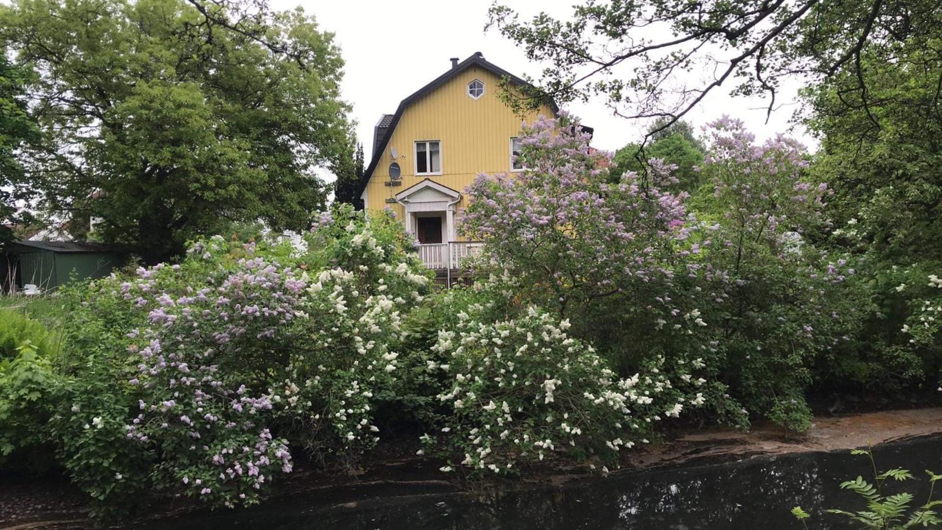 Photo 15