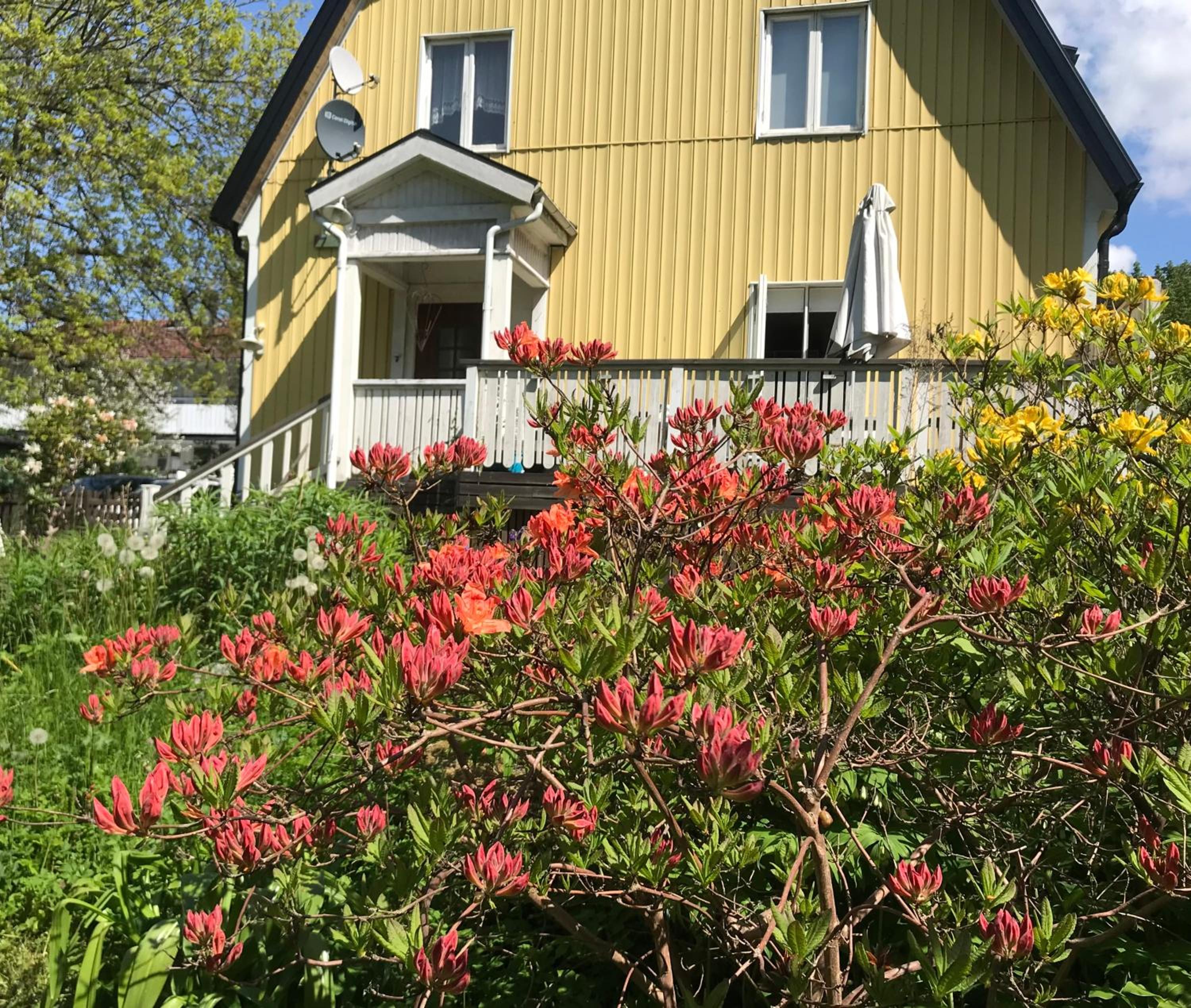 Solhuset - Villa Språkkul view 3