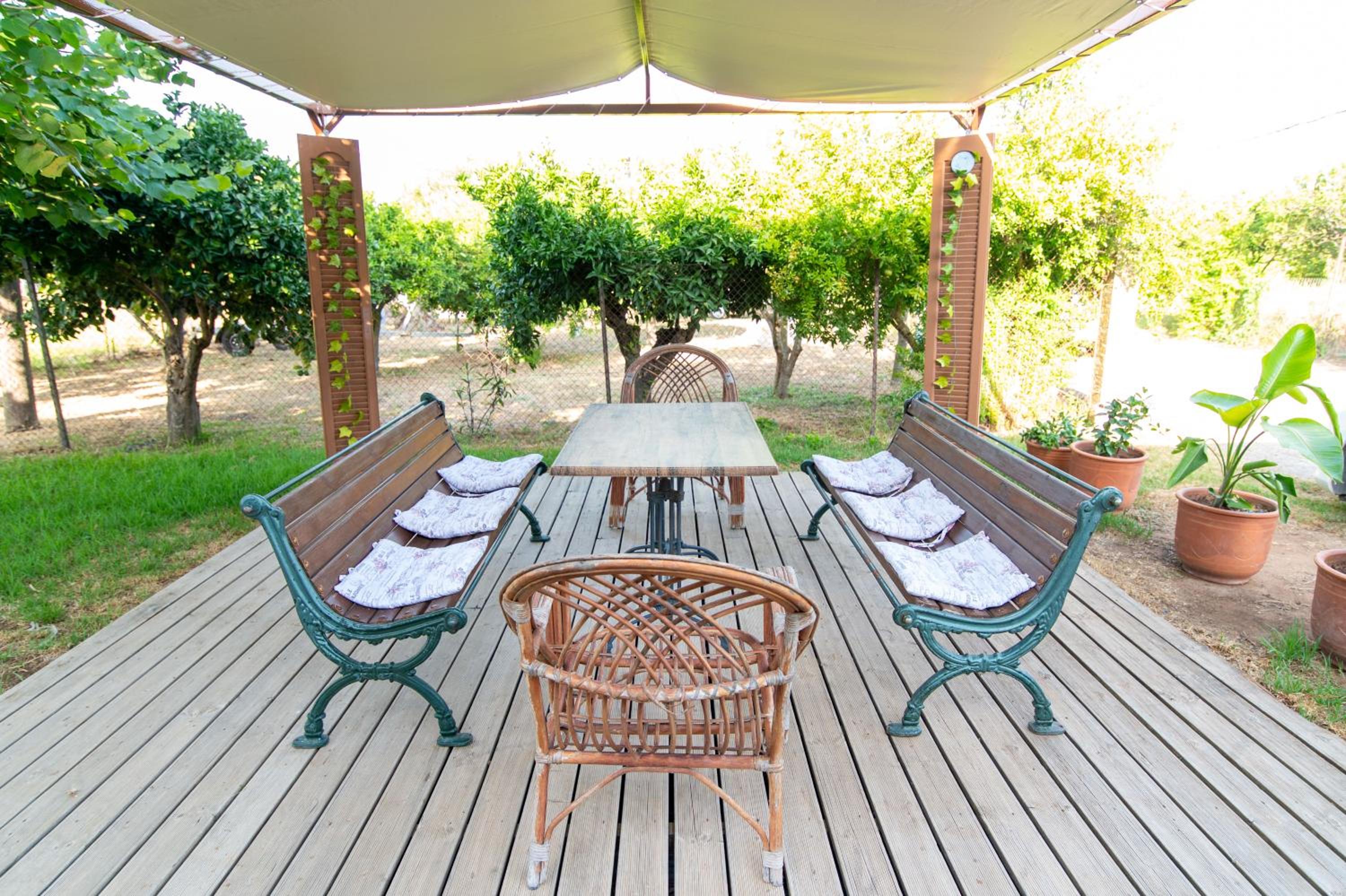 Photo 11
