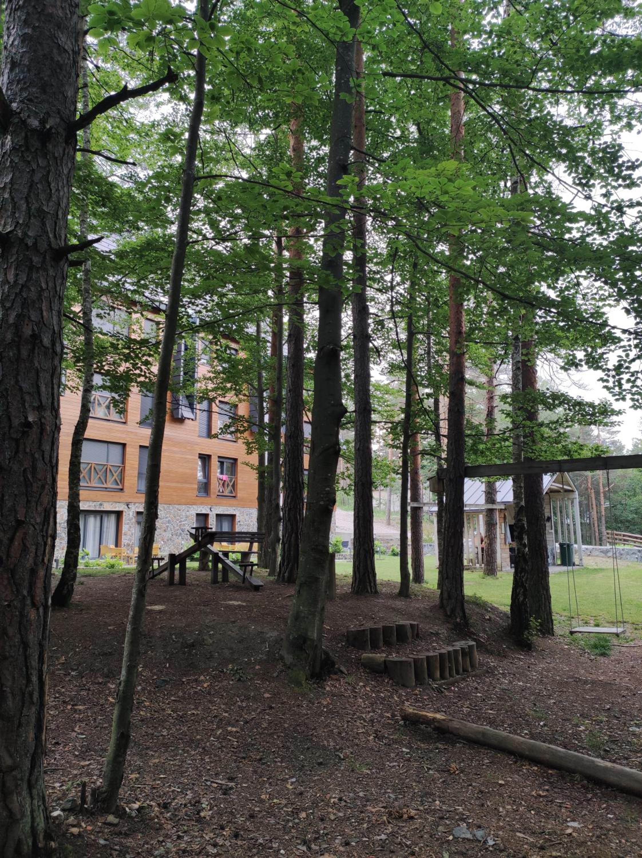 Photo 8