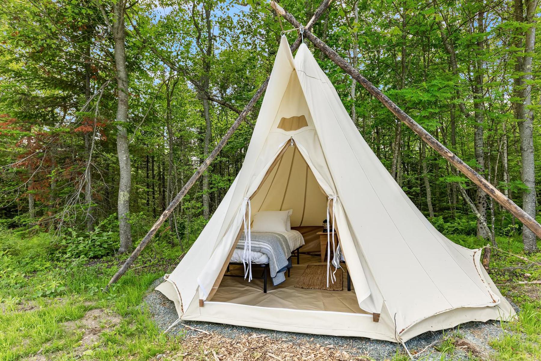Under Canvas Acadia view 2