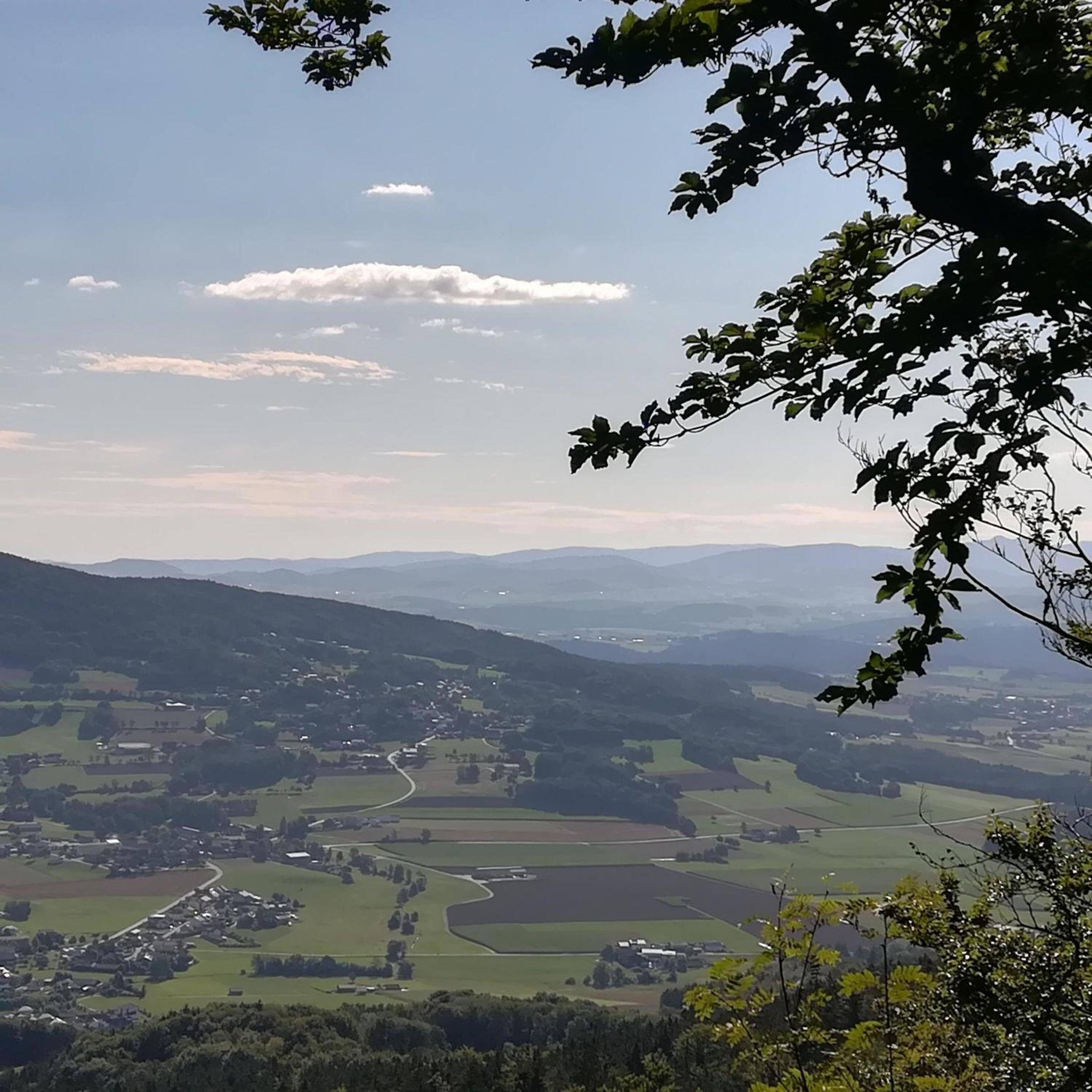 Ferienwohnung bei Waldmünchen mit Wald- und Wiesenumgebung