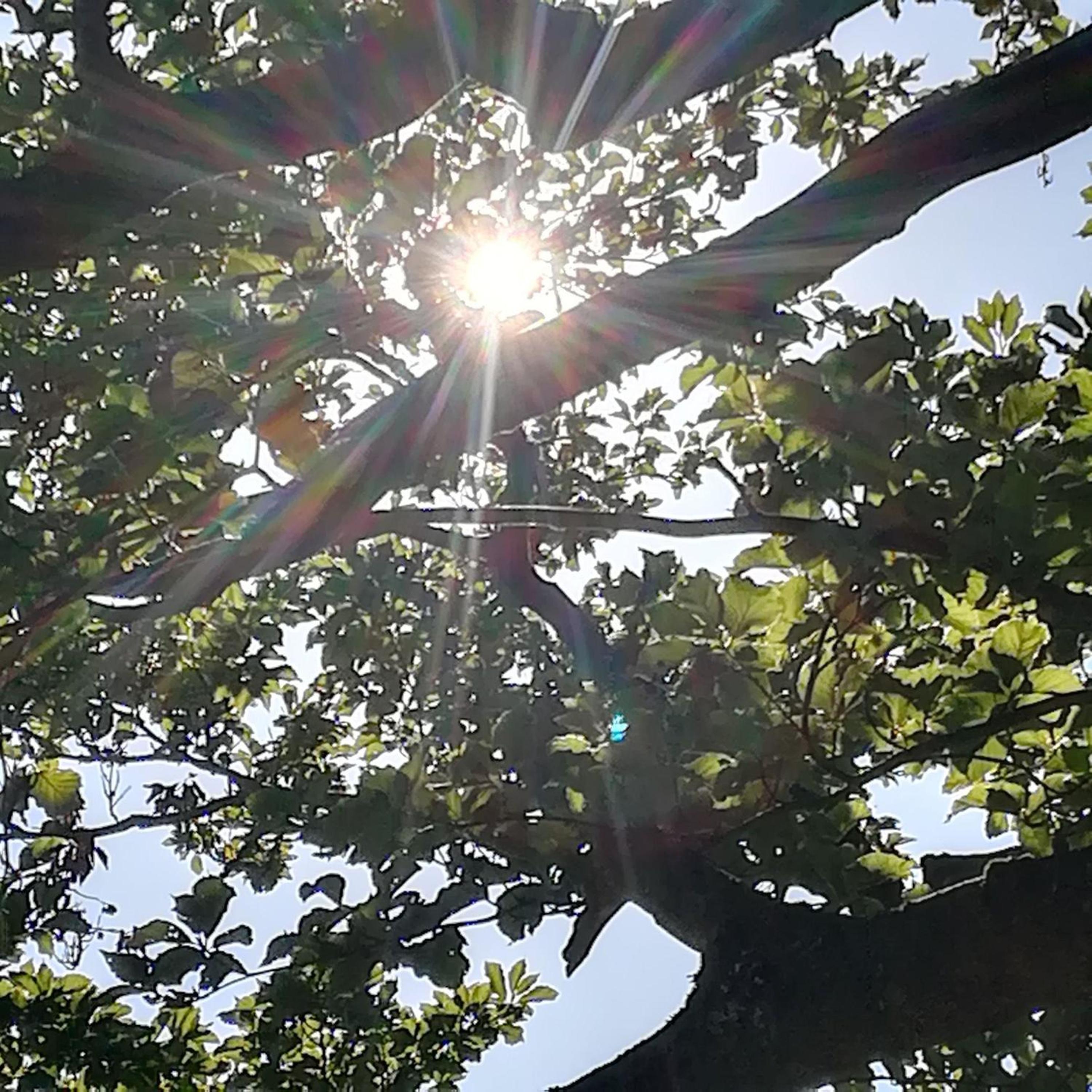Ferienwohnung bei Waldmünchen mit Wald- und Wiesenumgebung