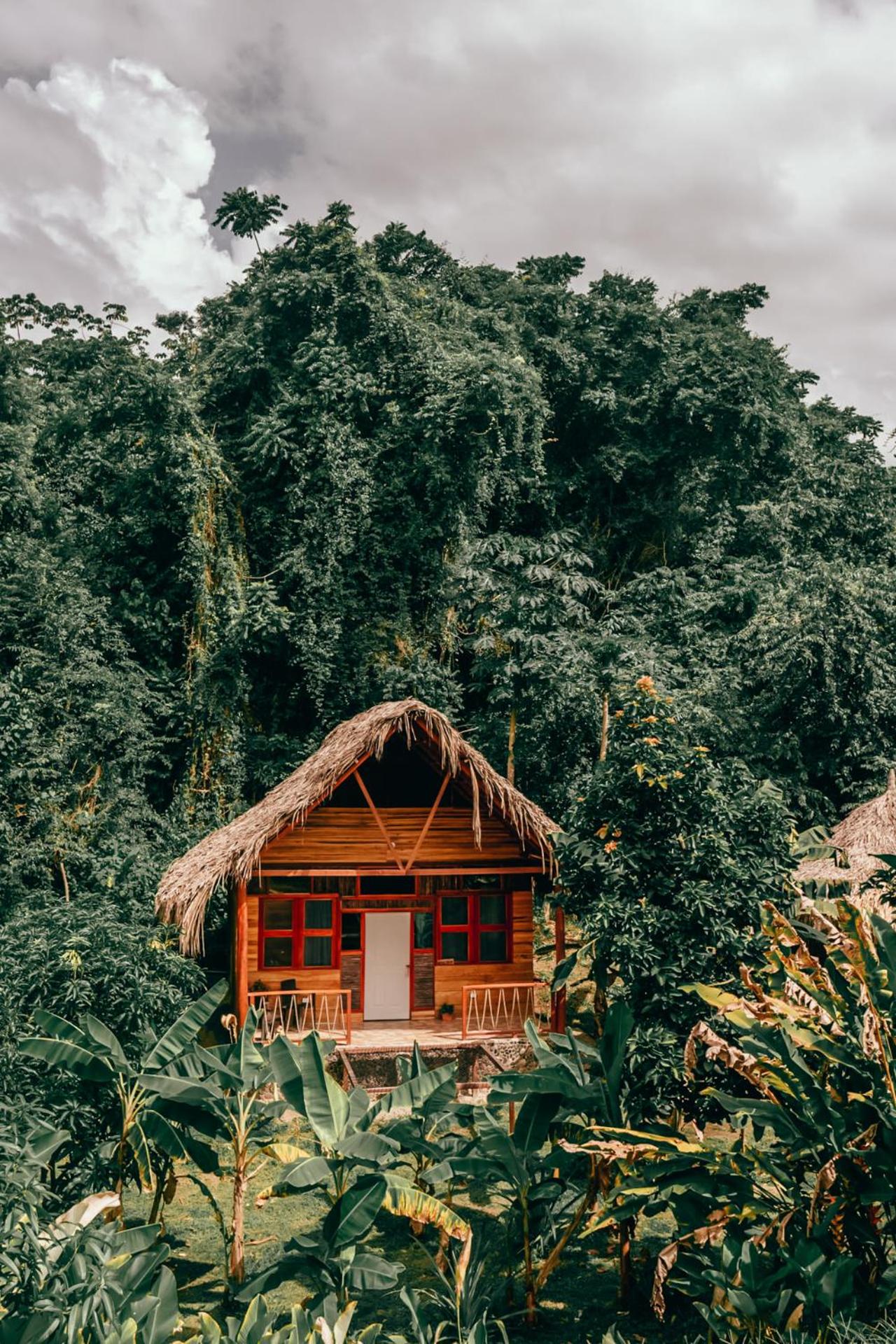 Magic Green Dentro del Parque Tayrona