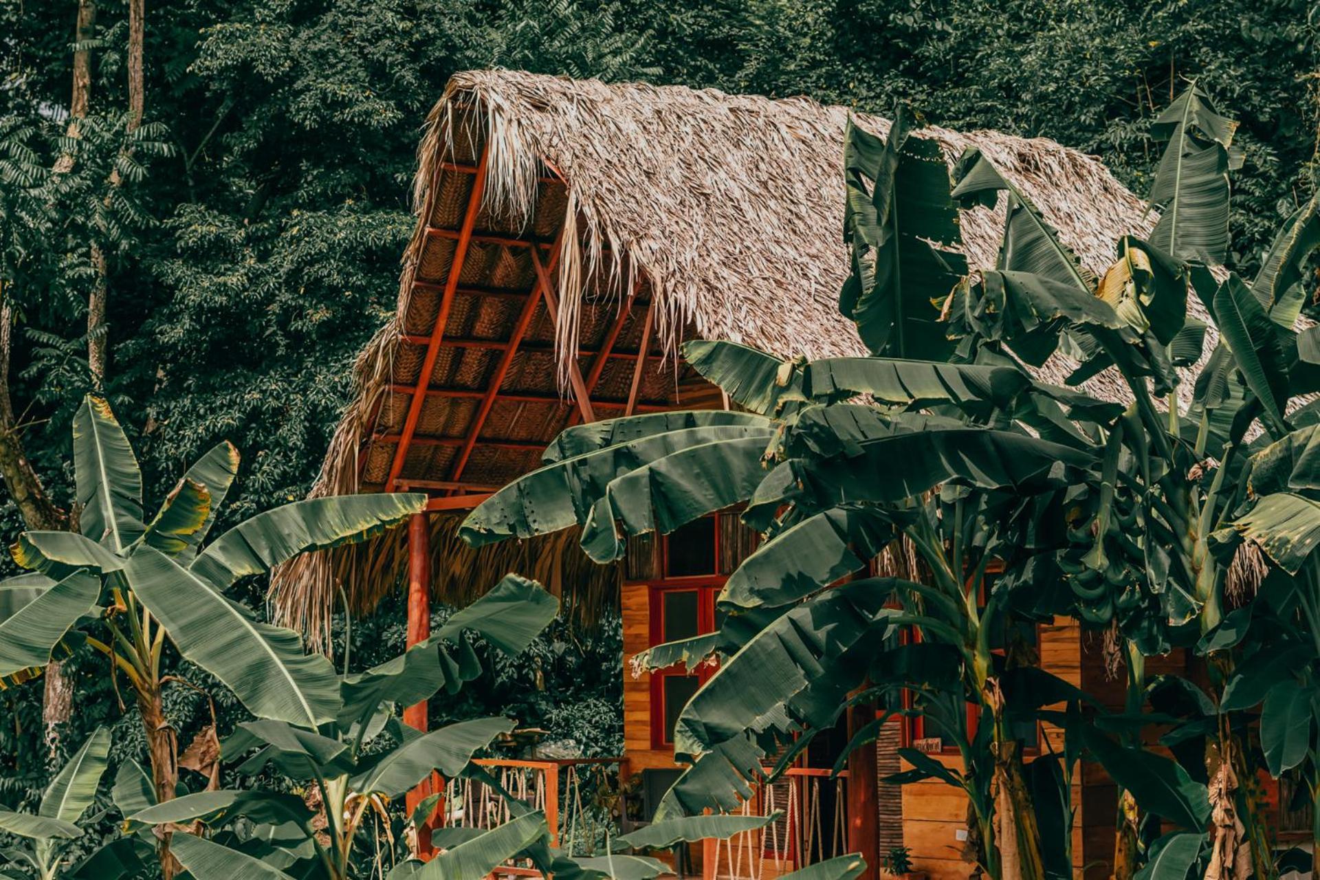 Magic Green Dentro del Parque Tayrona