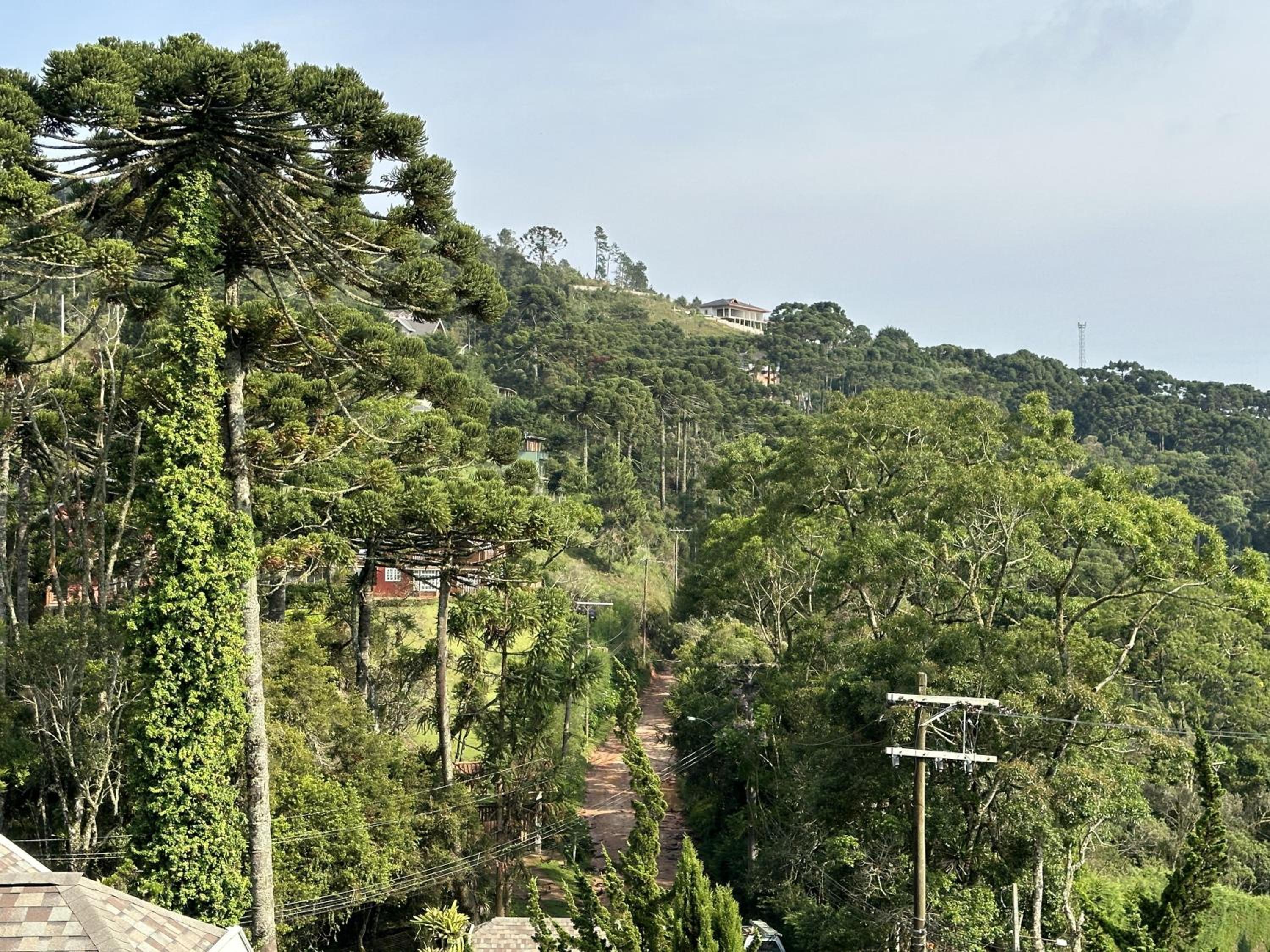 Cantinho da Ângela