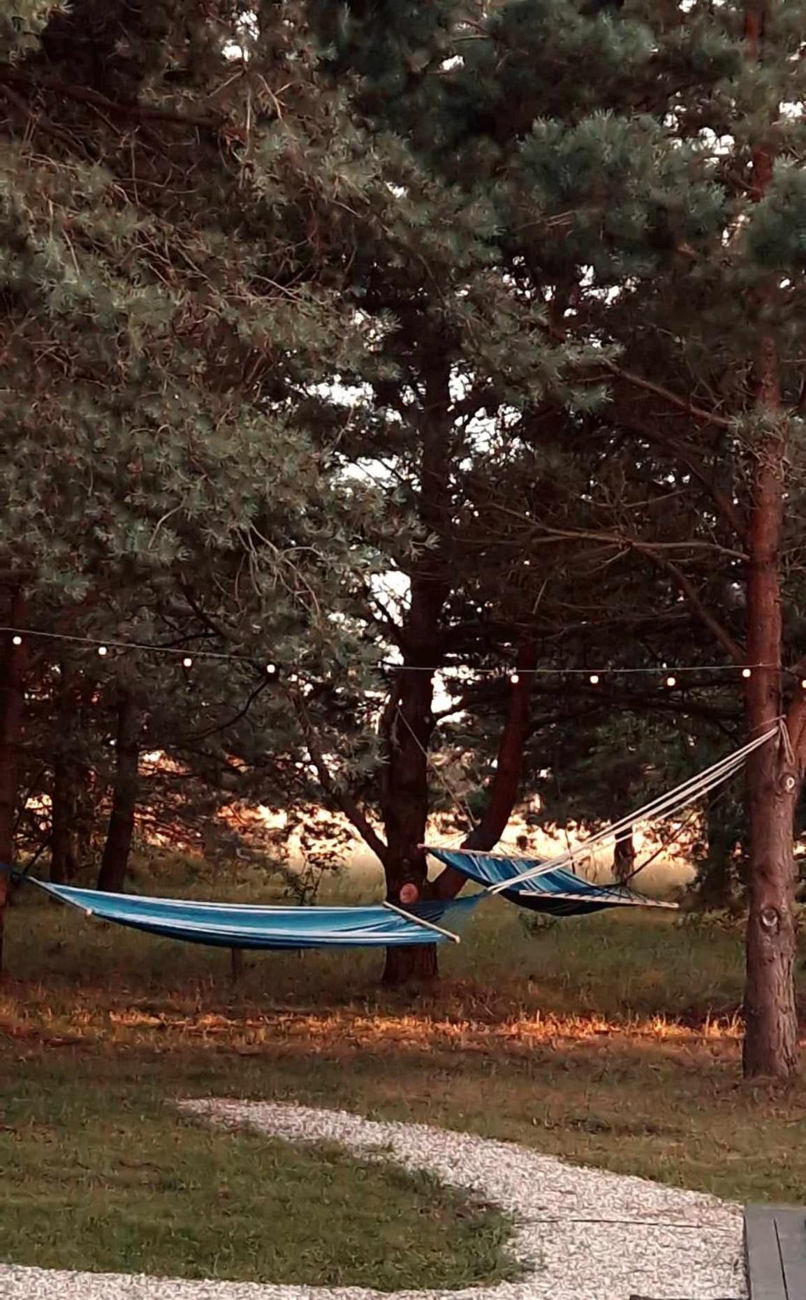 Namelis su kubilu nuoma , šalia Palangos 10-14min view 4