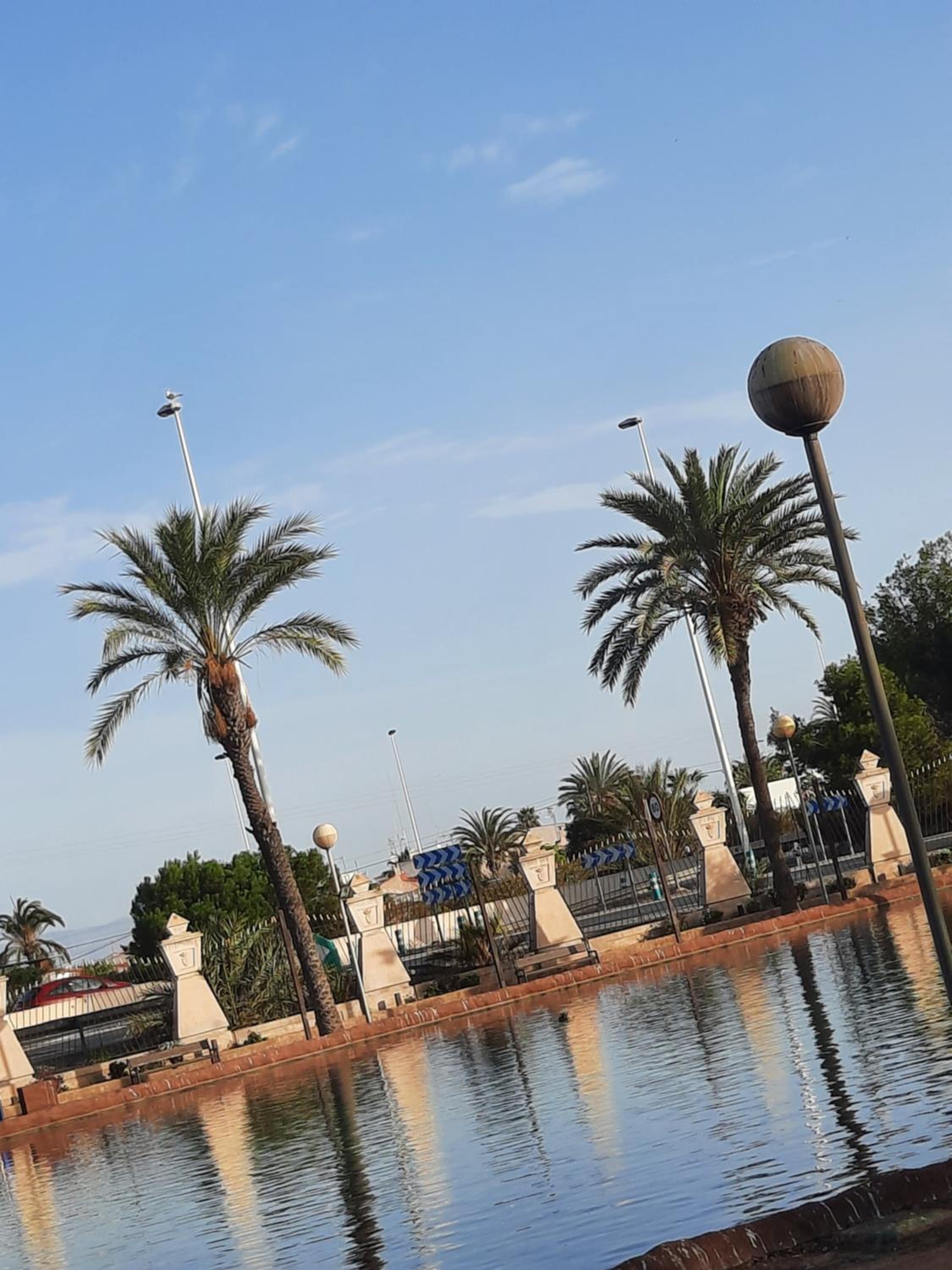 GAAL Holiday