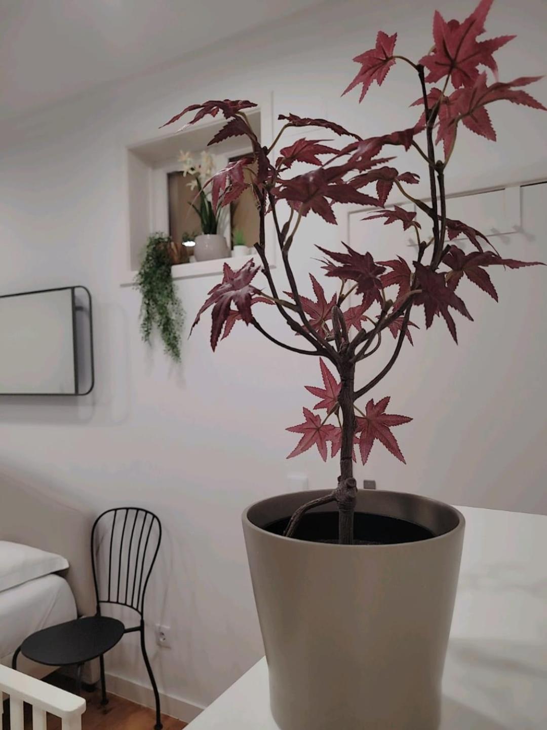Varanda Privada iroom